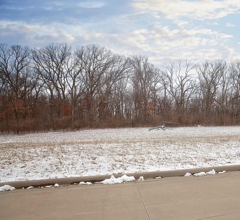 4182 167th Avenue Lowell, IN 46356 - Photo 3 of 4 a view of a yard with trees