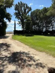 a view of a trees with a yard