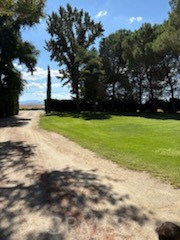 5335 East Avenue I Lancaster, CA 93535 - Photo 3 of 16 a view of a trees with a yard