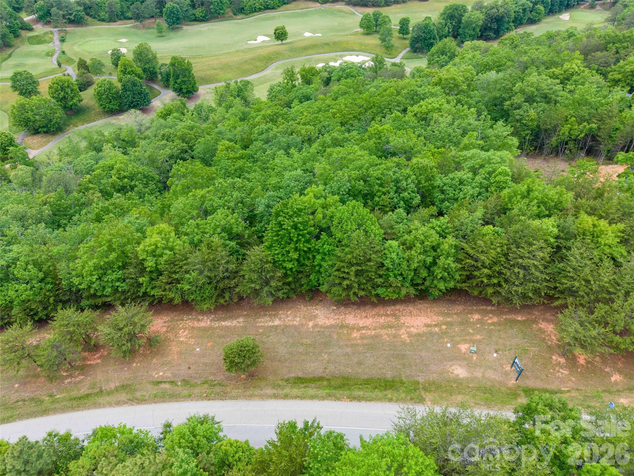 38 West Deep Gap Farm Road, Unit 38 Mill Spring, NC 28756 - Photo 7 of 20 a view of a yard with a tree