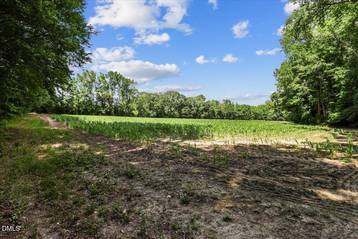 0 Antioch Church Road Middlesex, NC 27557 - Photo 15 of 26
