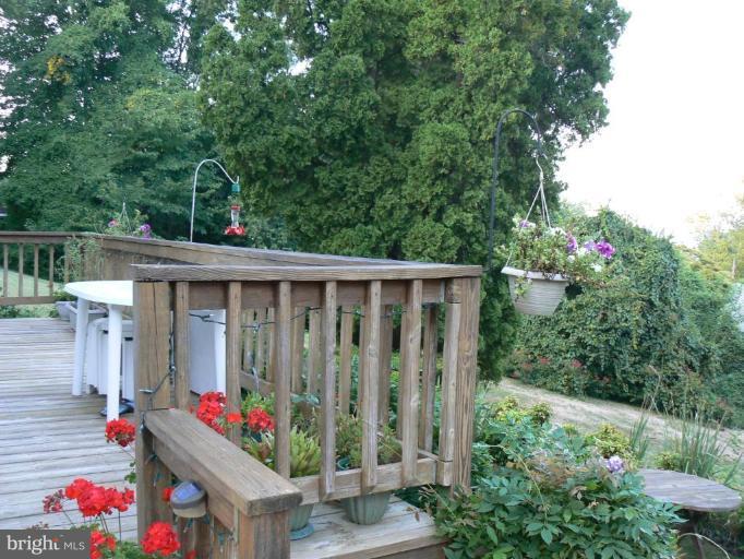 638 Fairhaven Road Tracys Landing, MD 20779 - Photo 15 of 17 Deck - View from