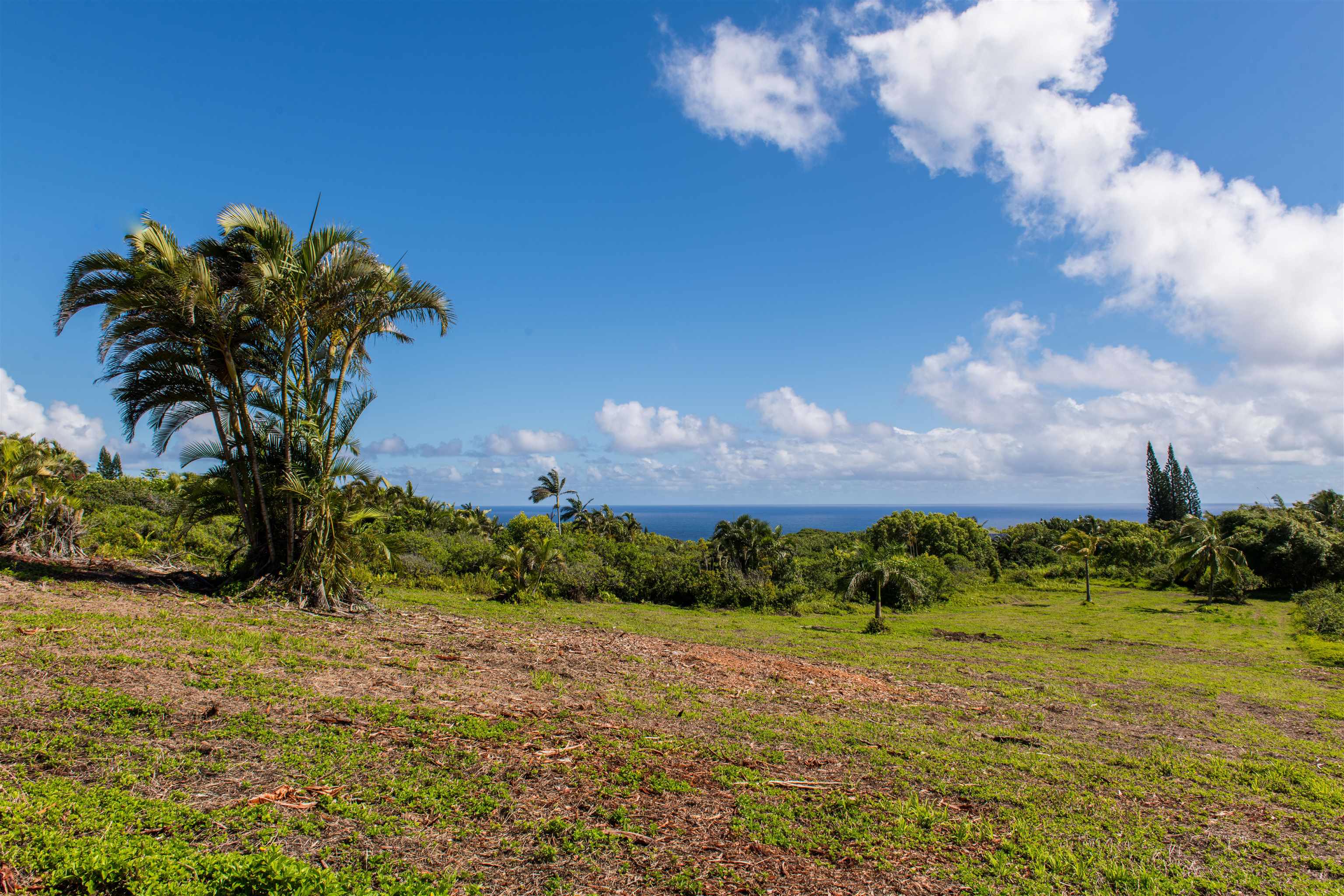 601 North Honokala Road, Unit A Haiku, HI 96708 - Photo 18 of 26