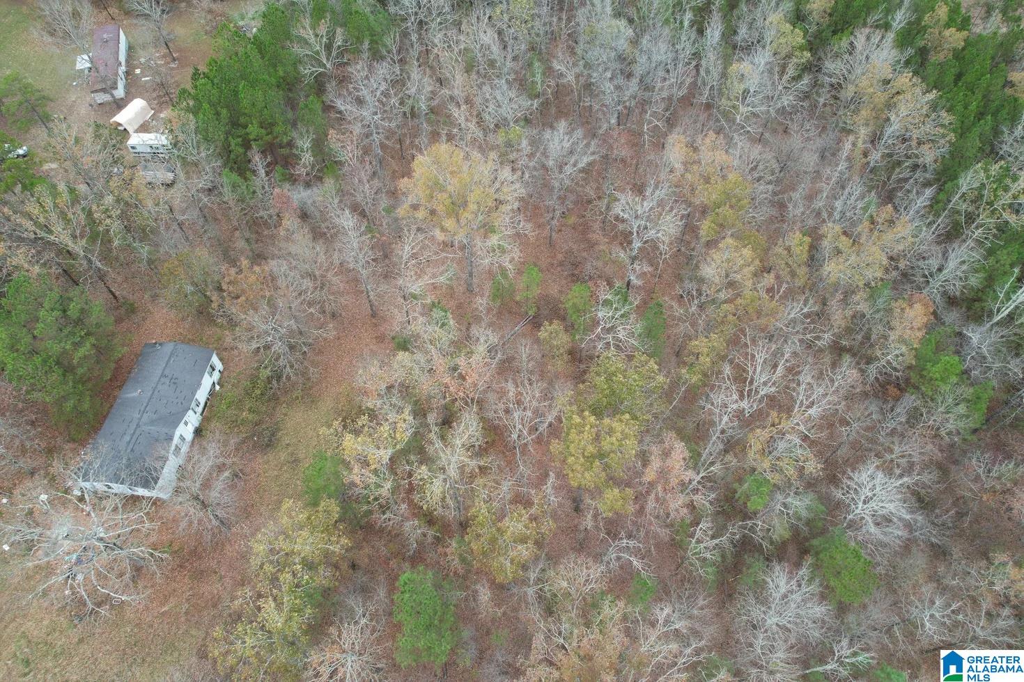 393 Siler Road Piedmont, AL 36272 - Photo 4 of 14