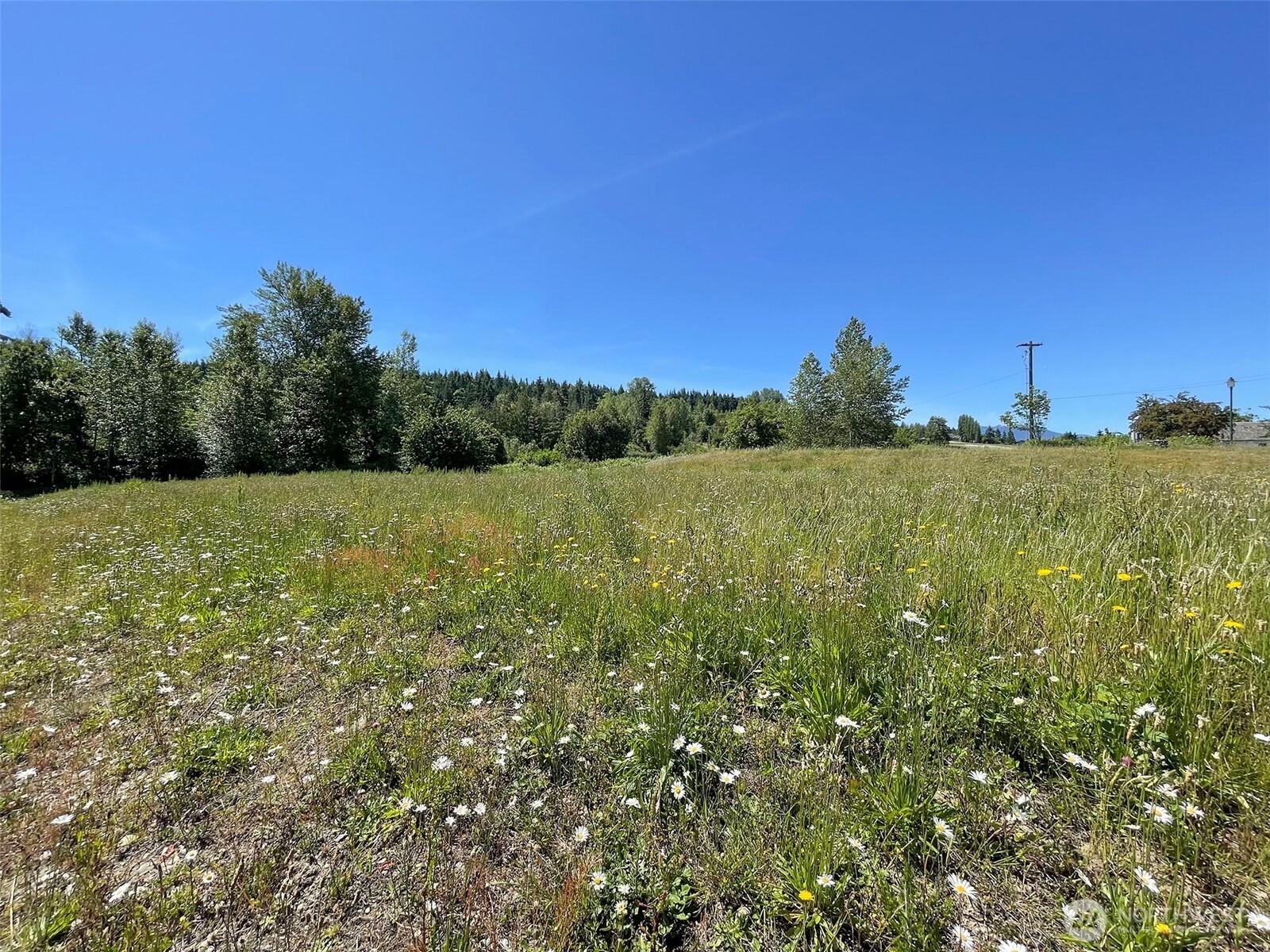 852 South Still Road Sequim, WA 98382 - Photo 12 of 16 a view of a field with an ocean view