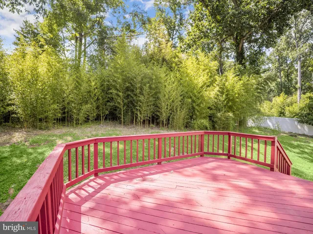 a view of a back yard