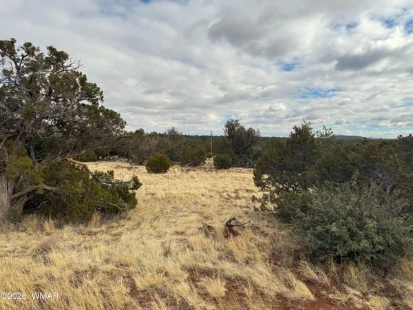 $55,000 | 14 Co, Show Low, AZ 85901