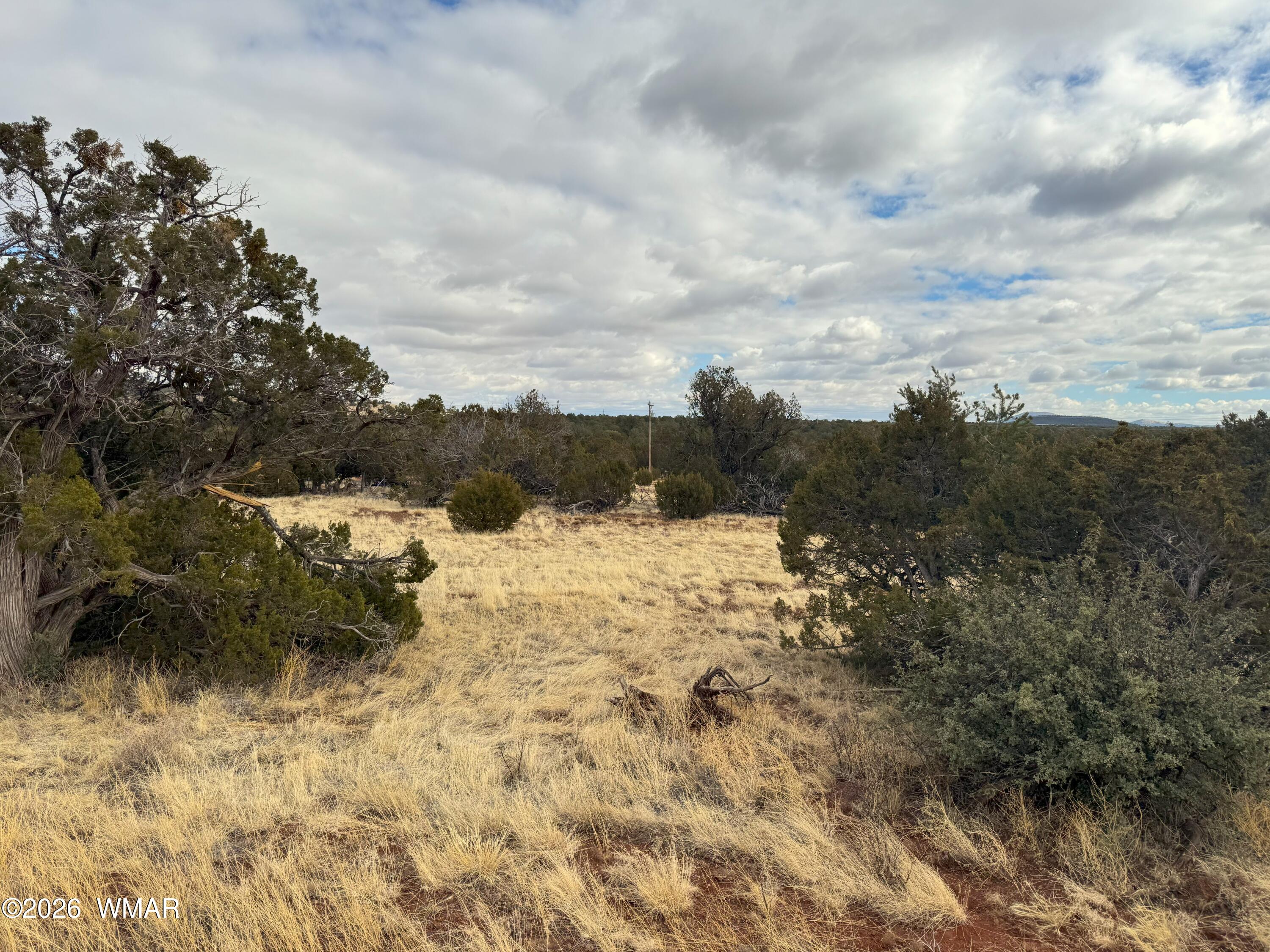 14 Co Show Low, AZ 85901 - Photo 1 of 8 Lot 1