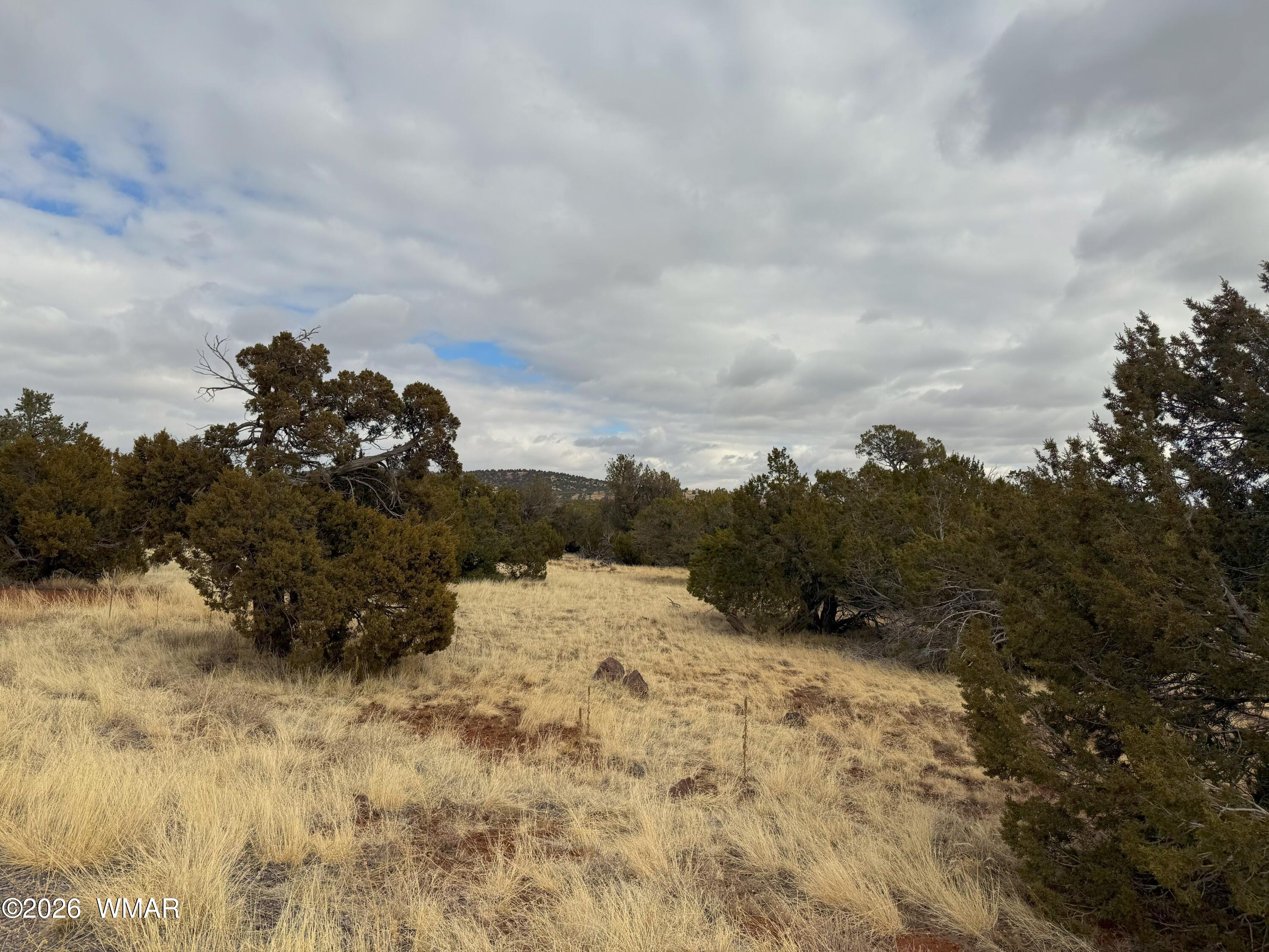 14 Co Show Low, AZ 85901 - Photo 5 of 8 20250117_184737380_iOS