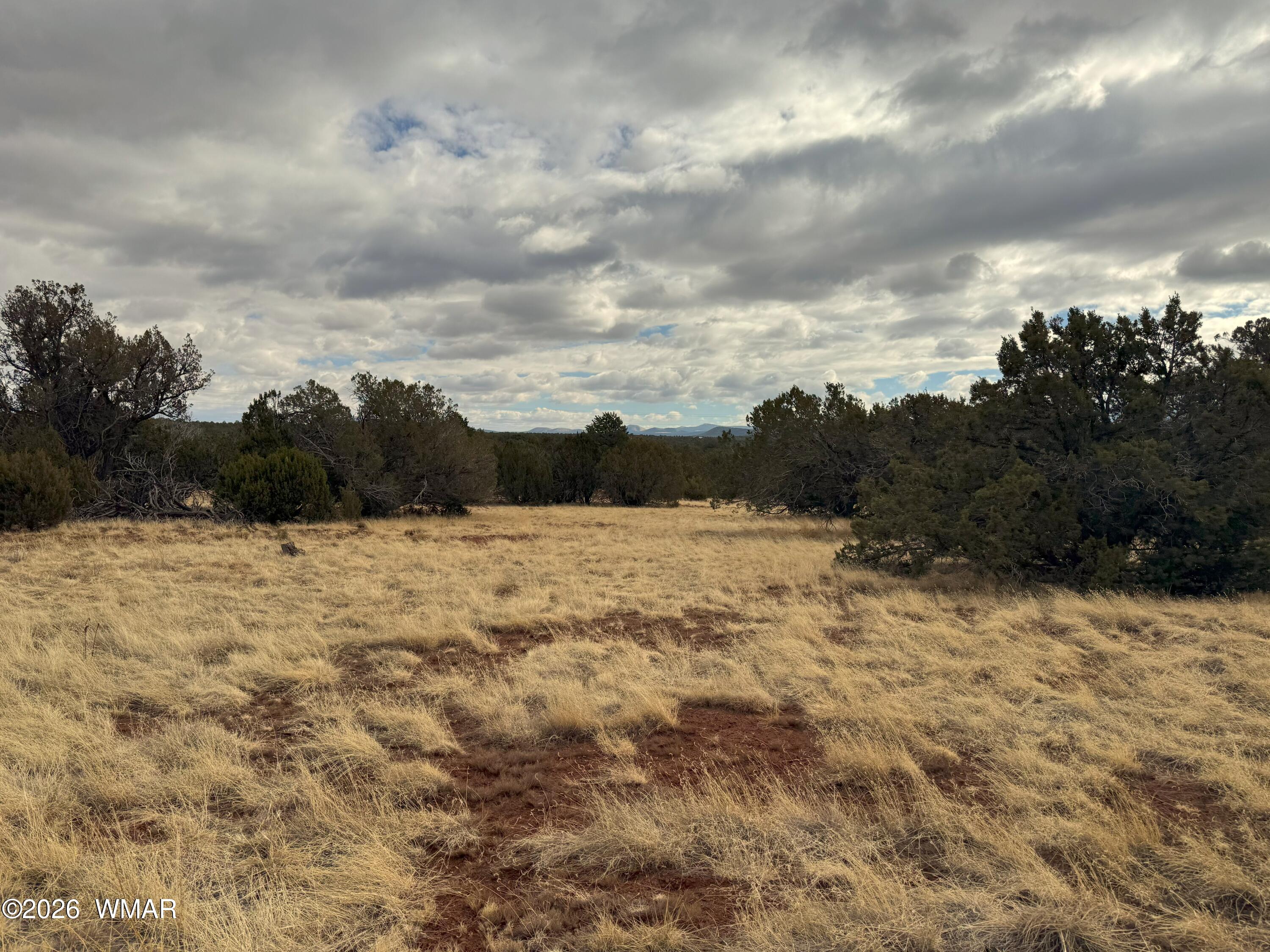 14 Co Show Low, AZ 85901 - Photo 6 of 8 20250117_184909322_iOS