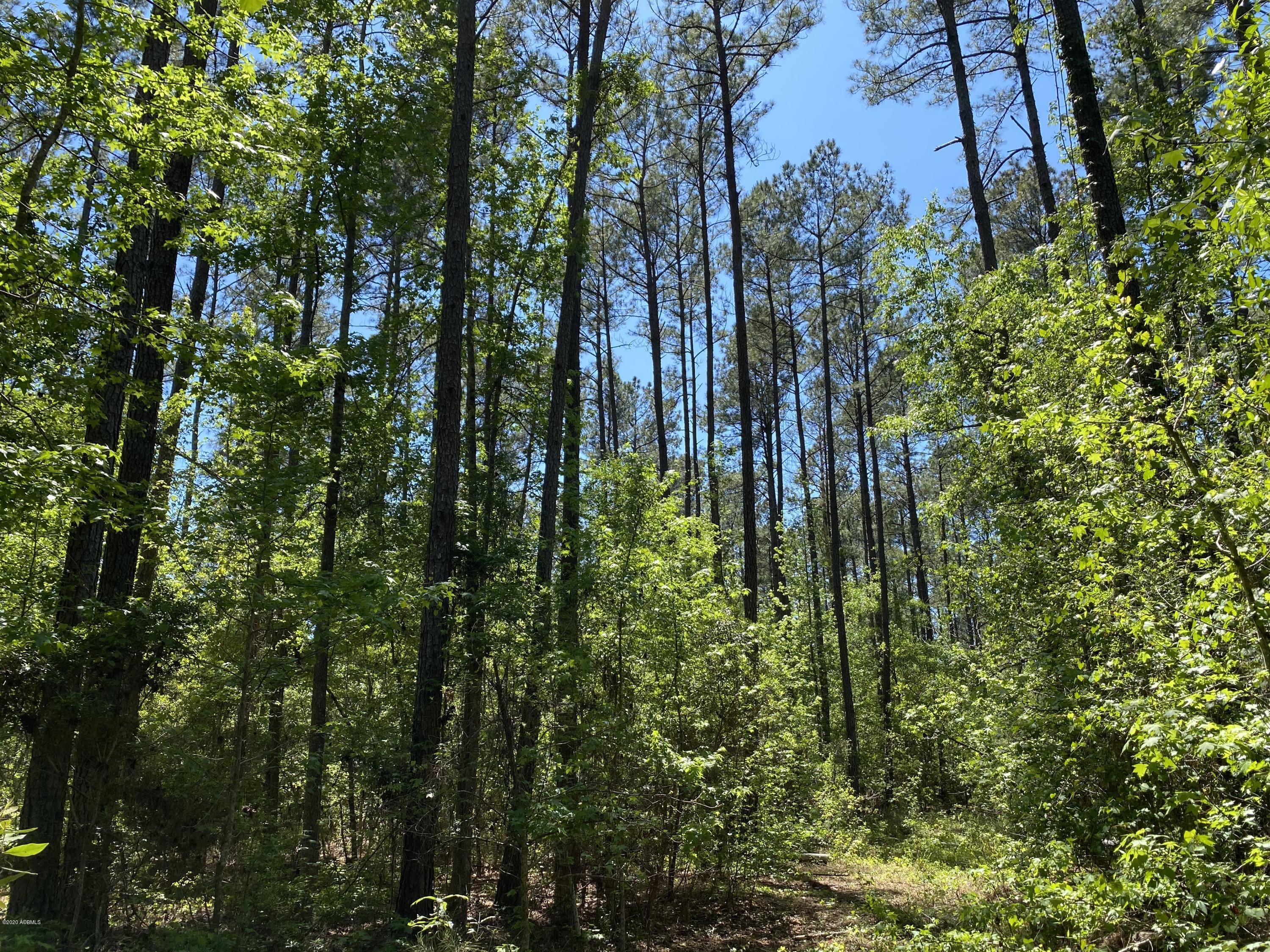 301 Priester Road Ruffin, SC 29475 - Photo 23 of 32 IMG_3075
