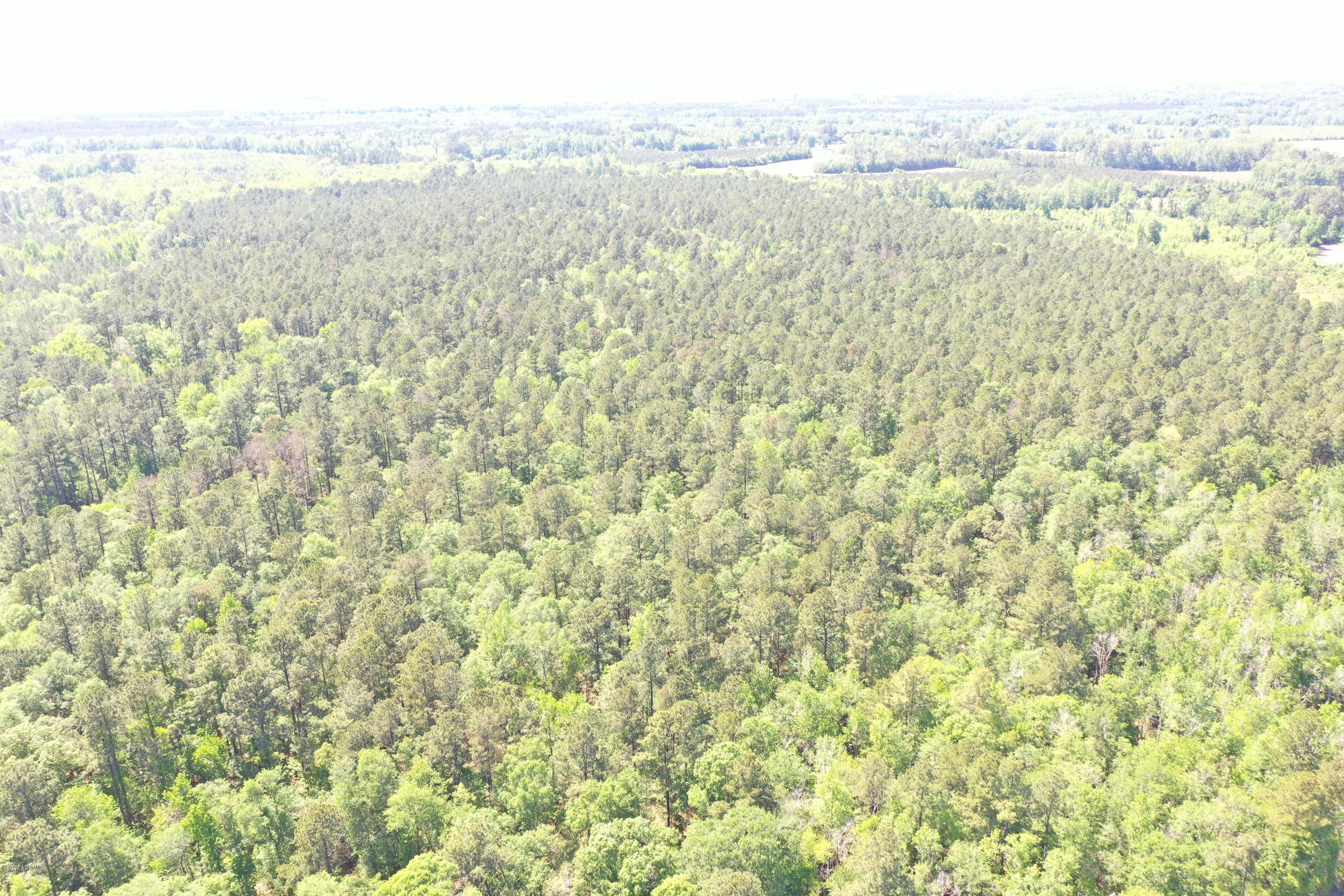 301 Priester Road Ruffin, SC 29475 - Photo 5 of 32 04 DJI_0353
