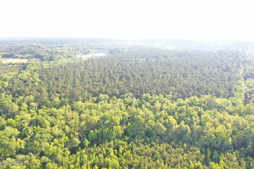 301 Priester Road Ruffin, SC 29475 - Photo 7 of 32 WhatsApp Image 2020-10-14 at 9.40.15 AM