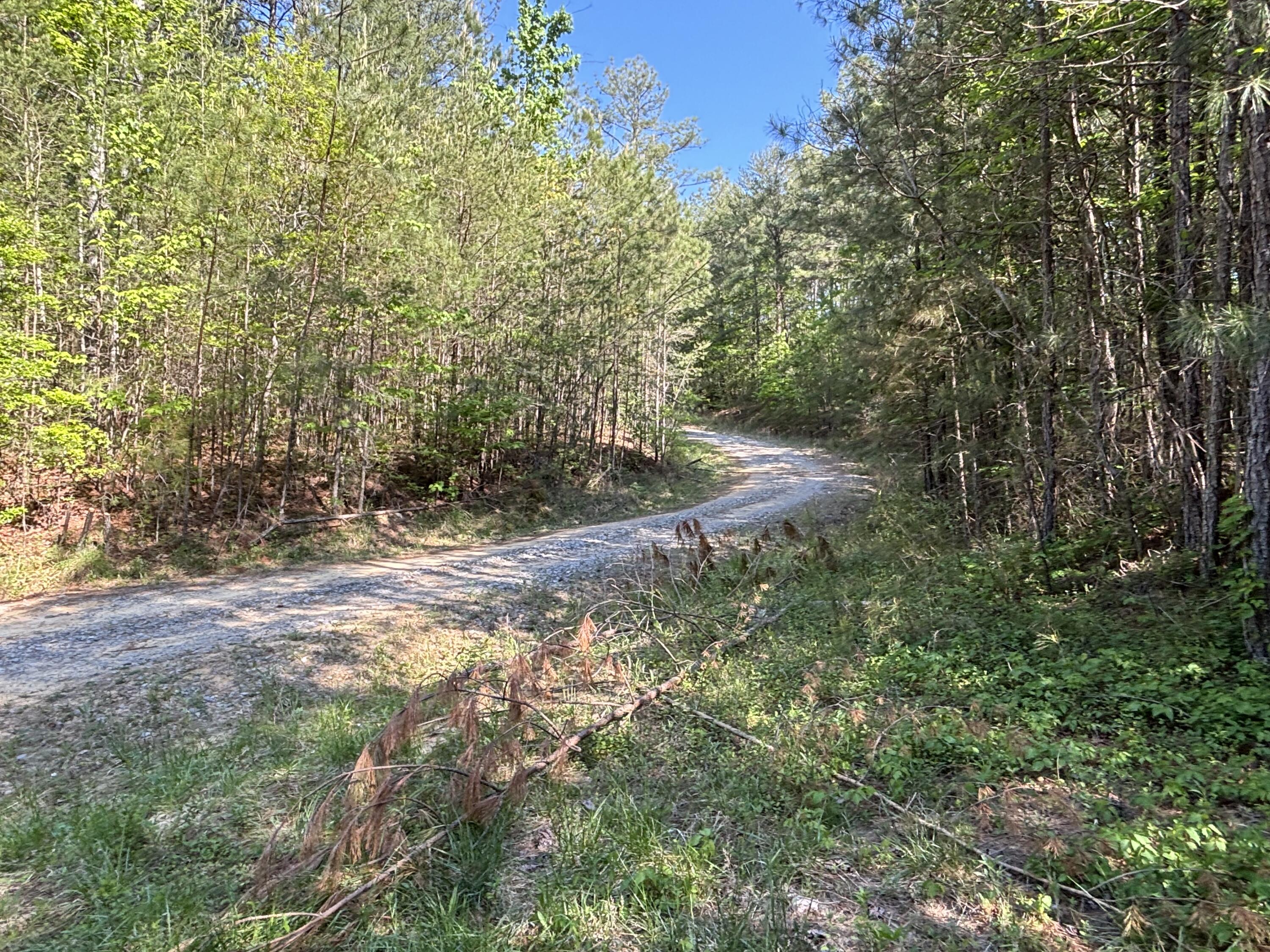 866 Bowater Road Pikeville, TN 37367 - Photo 11 of 70 Photo Apr 23 2026, 10 18 31 AM