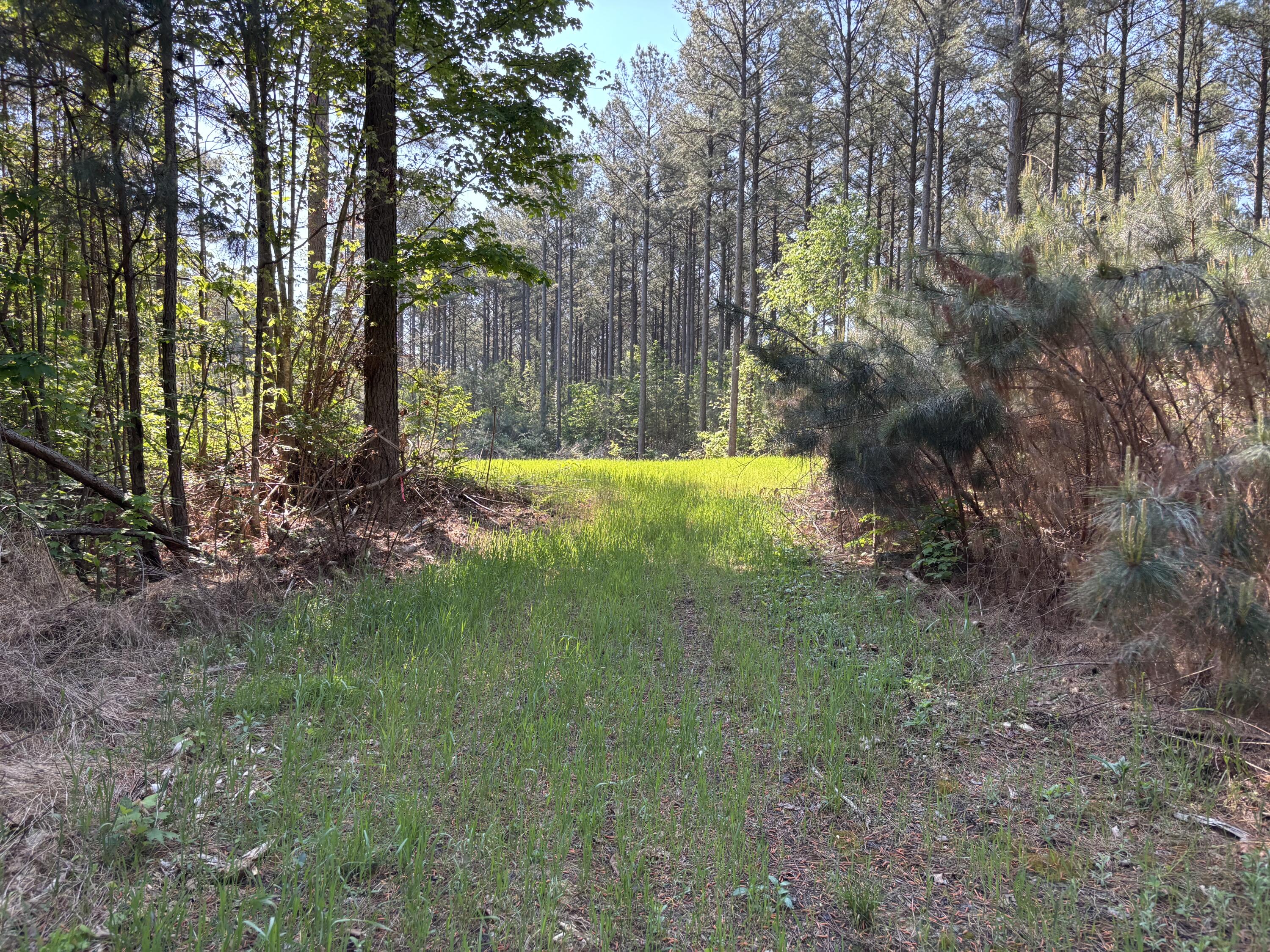 866 Bowater Road Pikeville, TN 37367 - Photo 12 of 70 Photo Apr 23 2026, 10 20 58 AM