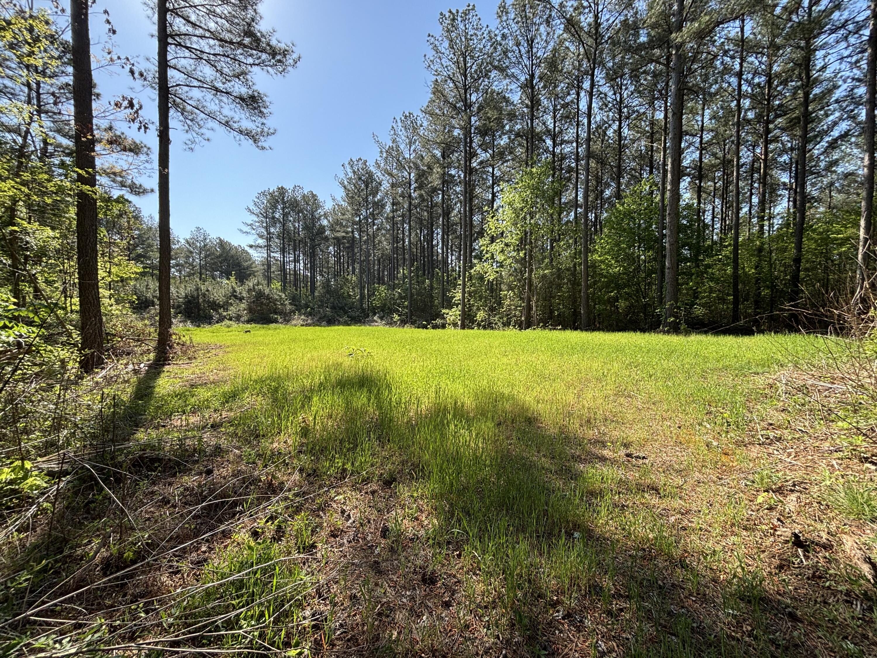 866 Bowater Road Pikeville, TN 37367 - Photo 13 of 70 Photo Apr 23 2026, 10 21 16 AM