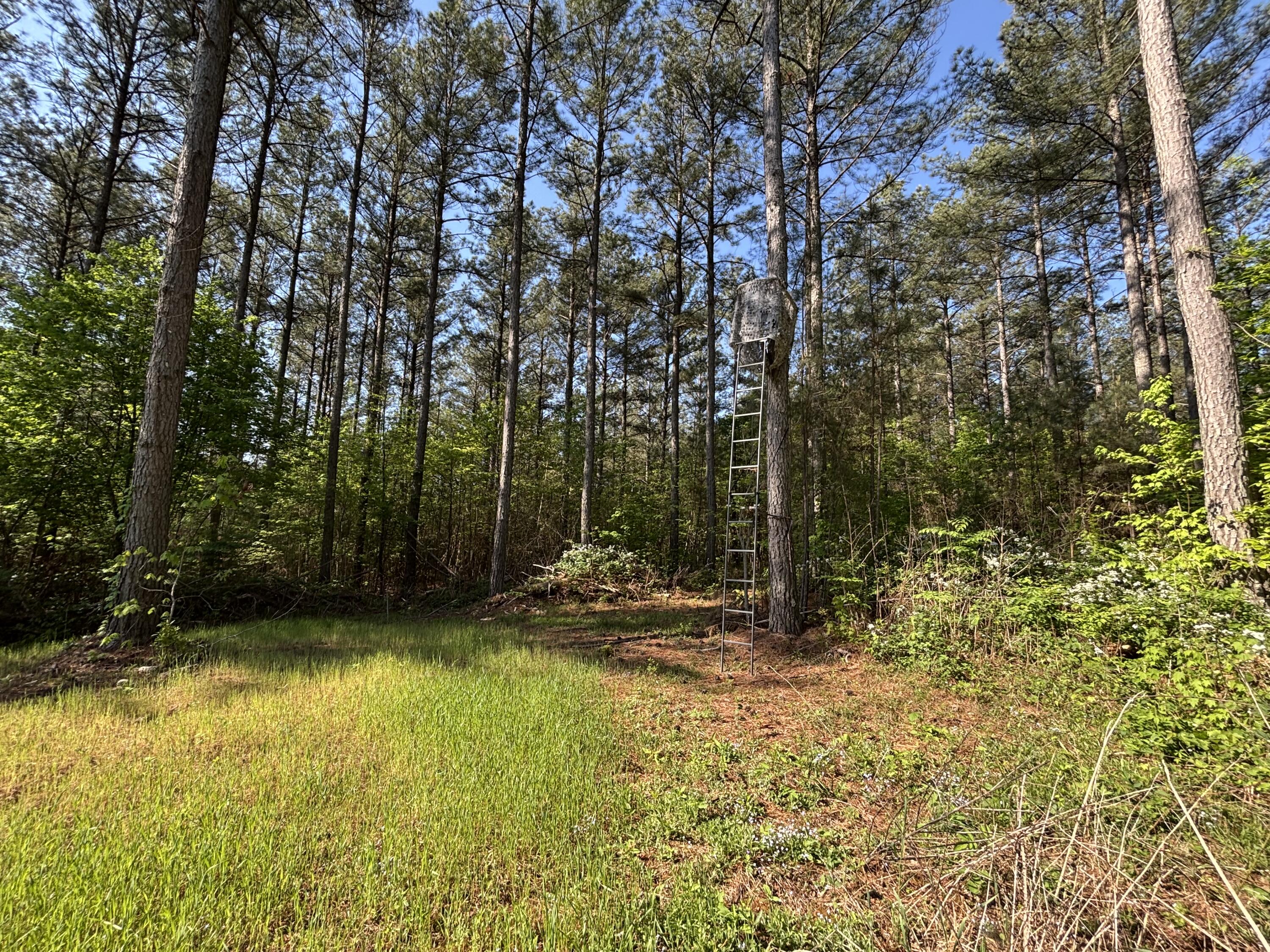 866 Bowater Road Pikeville, TN 37367 - Photo 14 of 70 Photo Apr 23 2026, 10 21 33 AM
