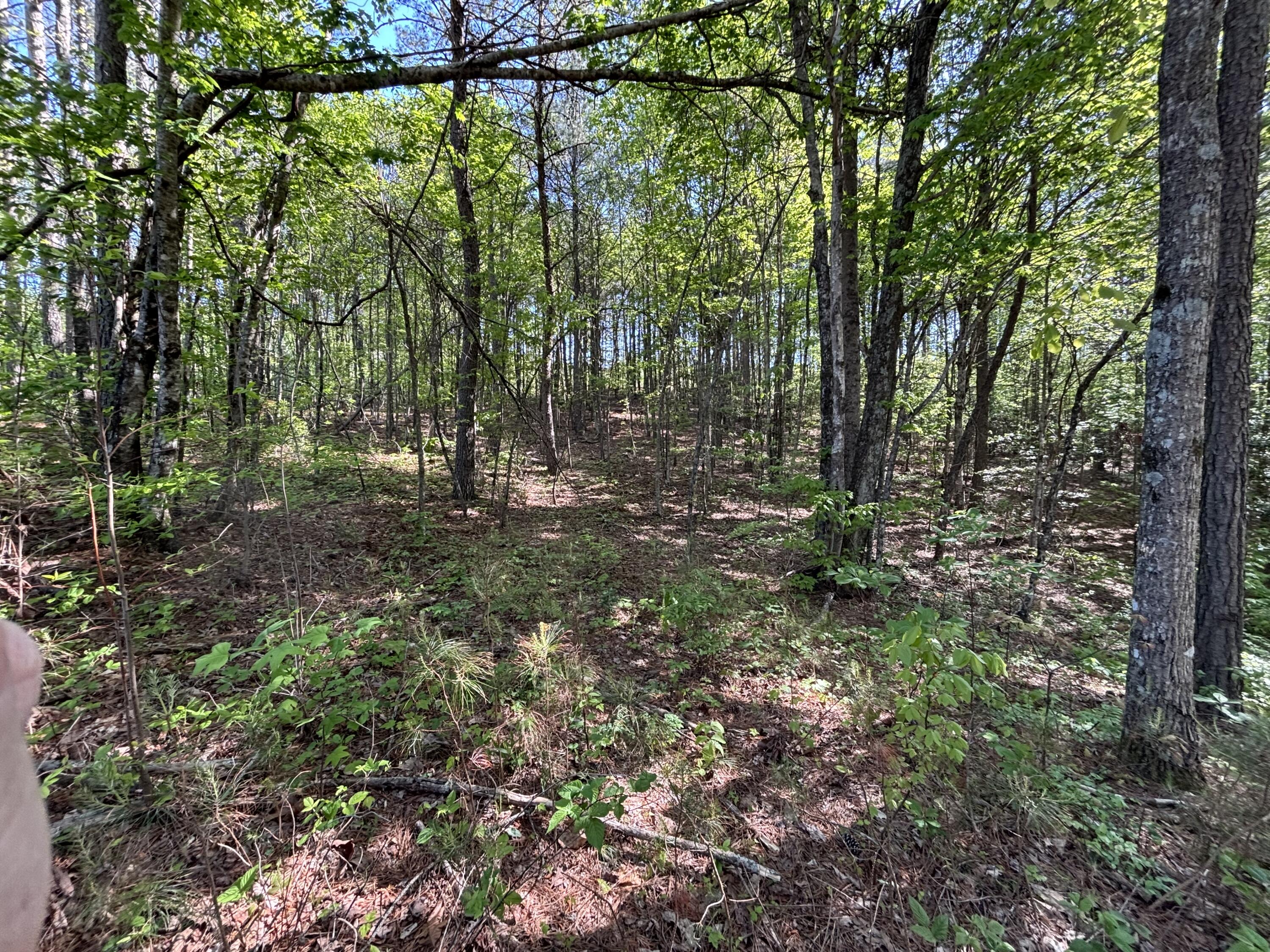 866 Bowater Road Pikeville, TN 37367 - Photo 16 of 70 Photo Apr 23 2026, 10 26 49 AM