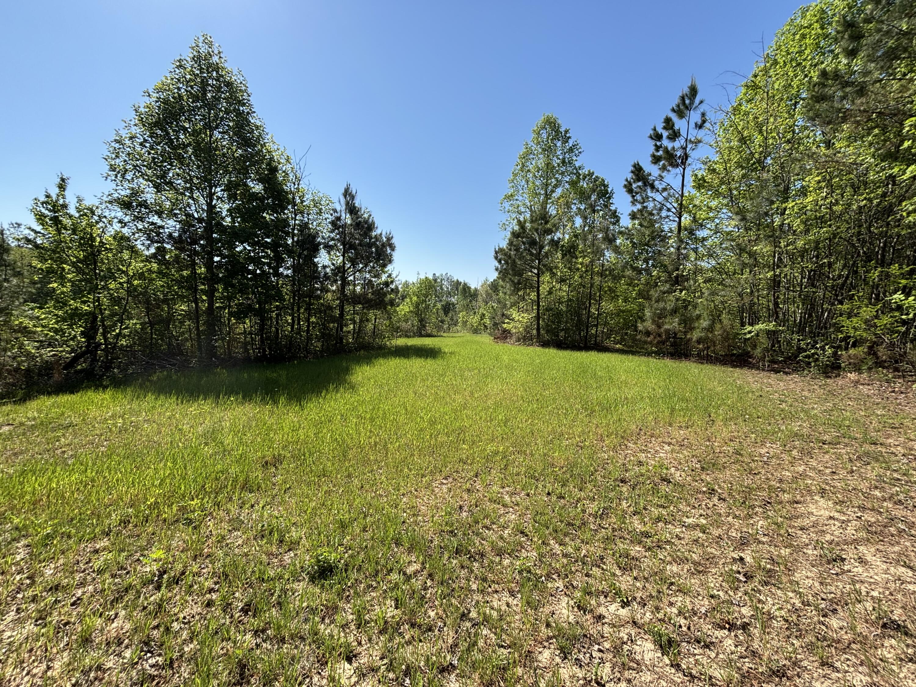 866 Bowater Road Pikeville, TN 37367 - Photo 25 of 70 Photo Apr 23 2026, 10 38 30 AM