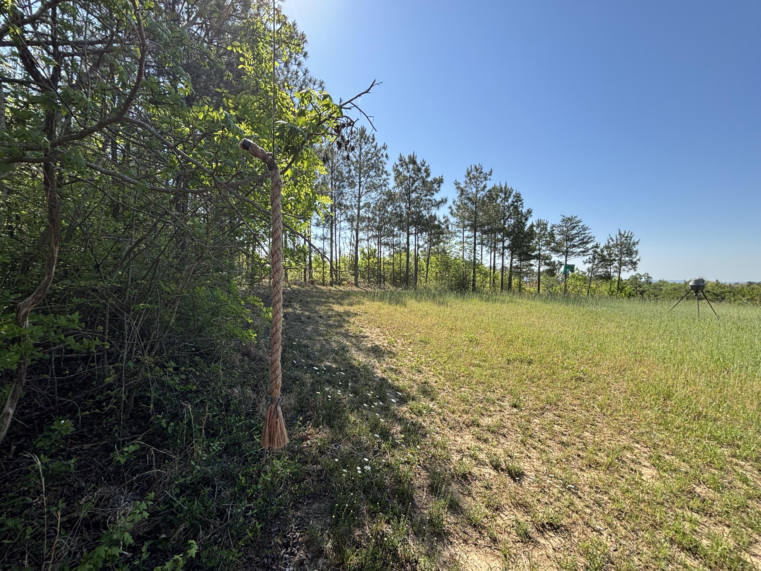 866 Bowater Road Pikeville, TN 37367 - Photo 28 of 70 Photo Apr 23 2026, 10 40 49 AM