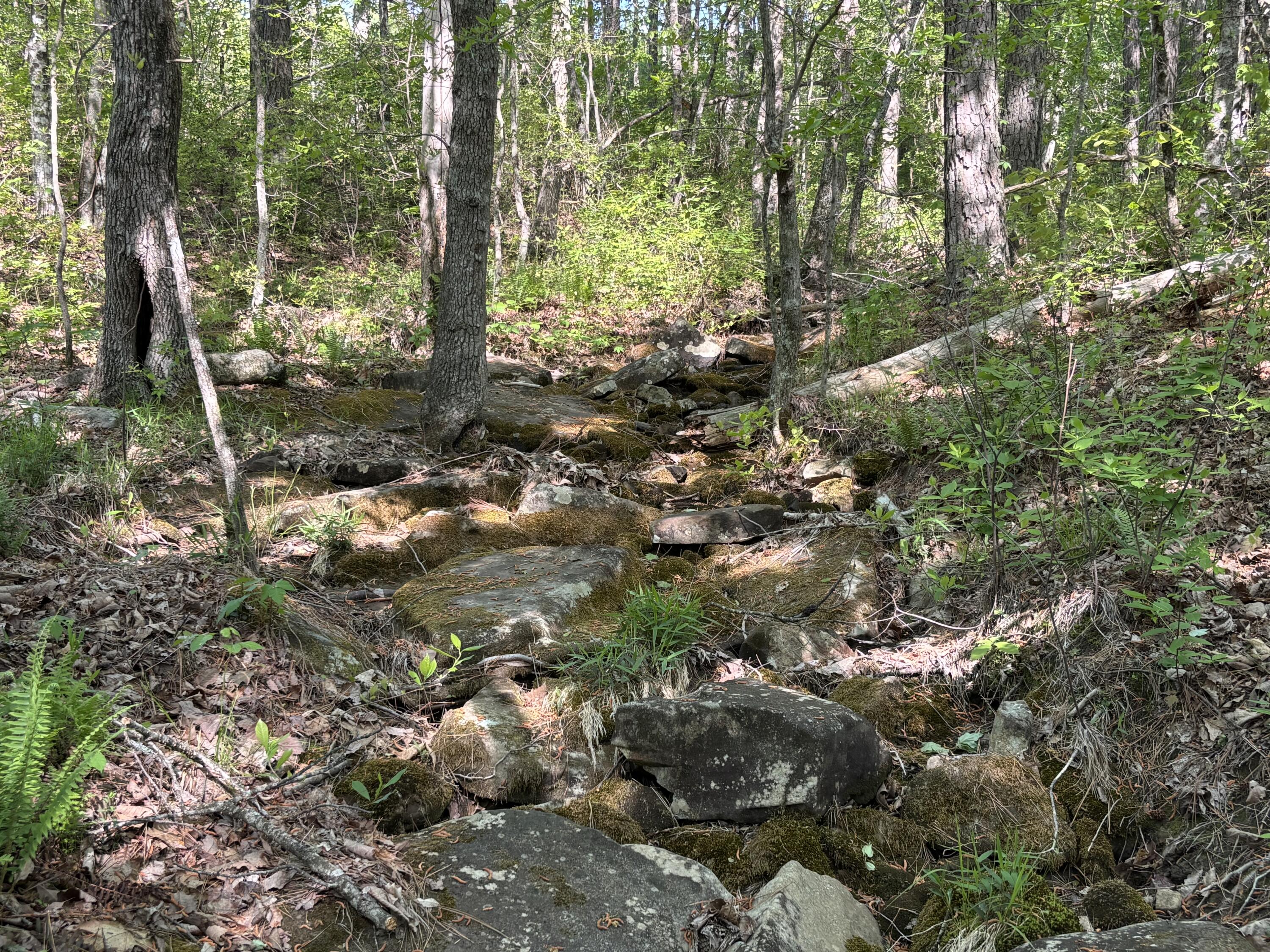 866 Bowater Road Pikeville, TN 37367 - Photo 34 of 70 Photo Apr 23 2026, 10 47 34 AM