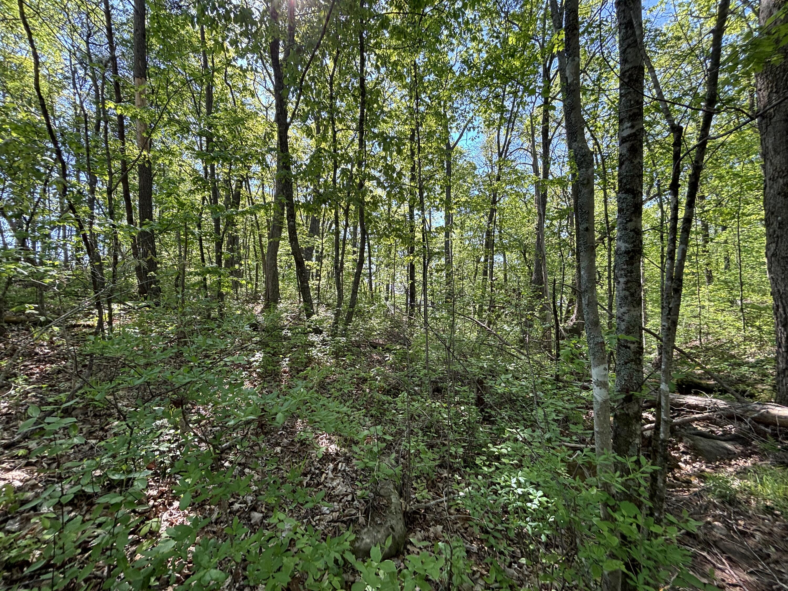 866 Bowater Road Pikeville, TN 37367 - Photo 35 of 70 Photo Apr 23 2026, 10 47 51 AM
