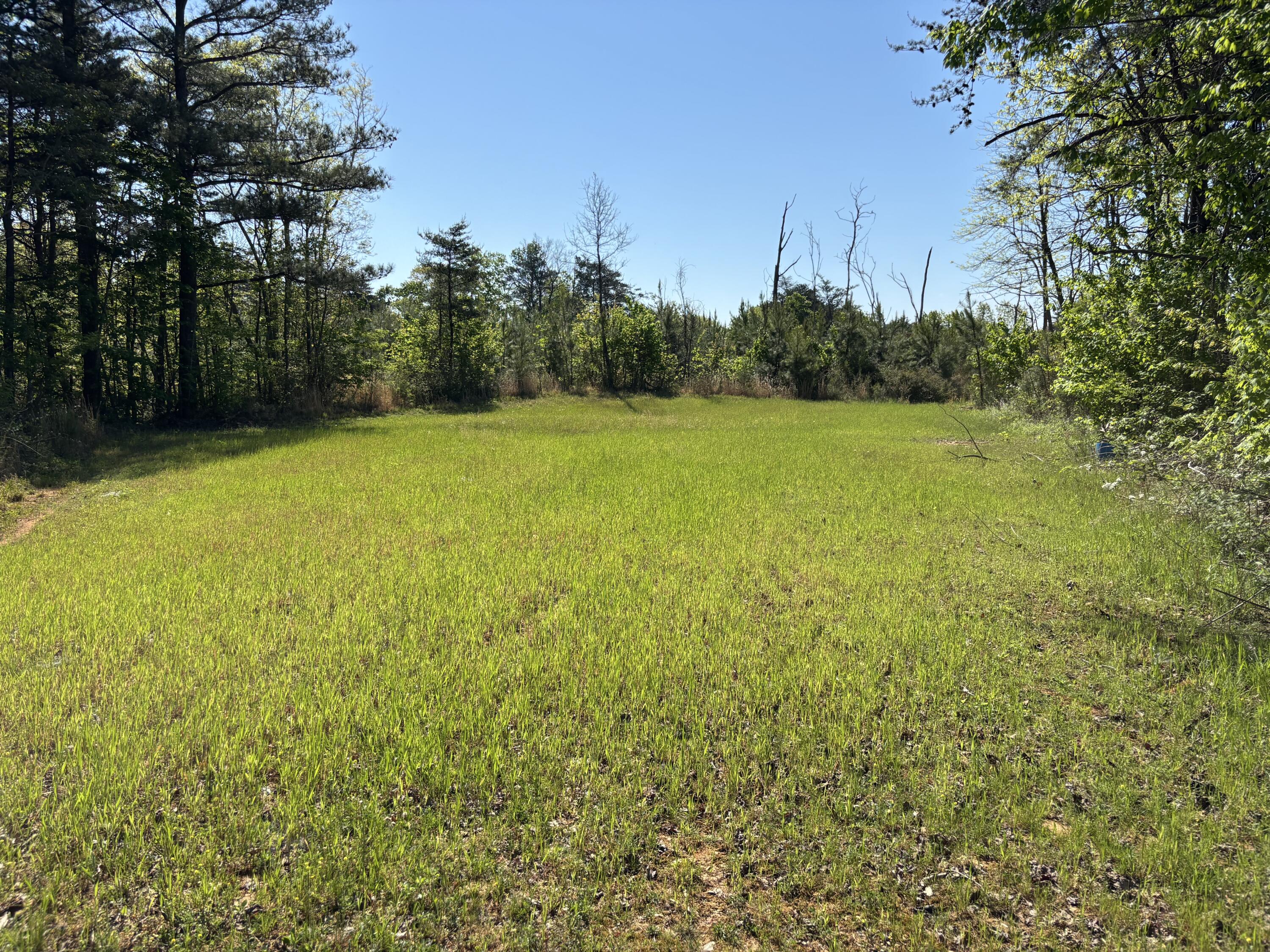 866 Bowater Road Pikeville, TN 37367 - Photo 37 of 70 Photo Apr 23 2026, 10 55 51 AM