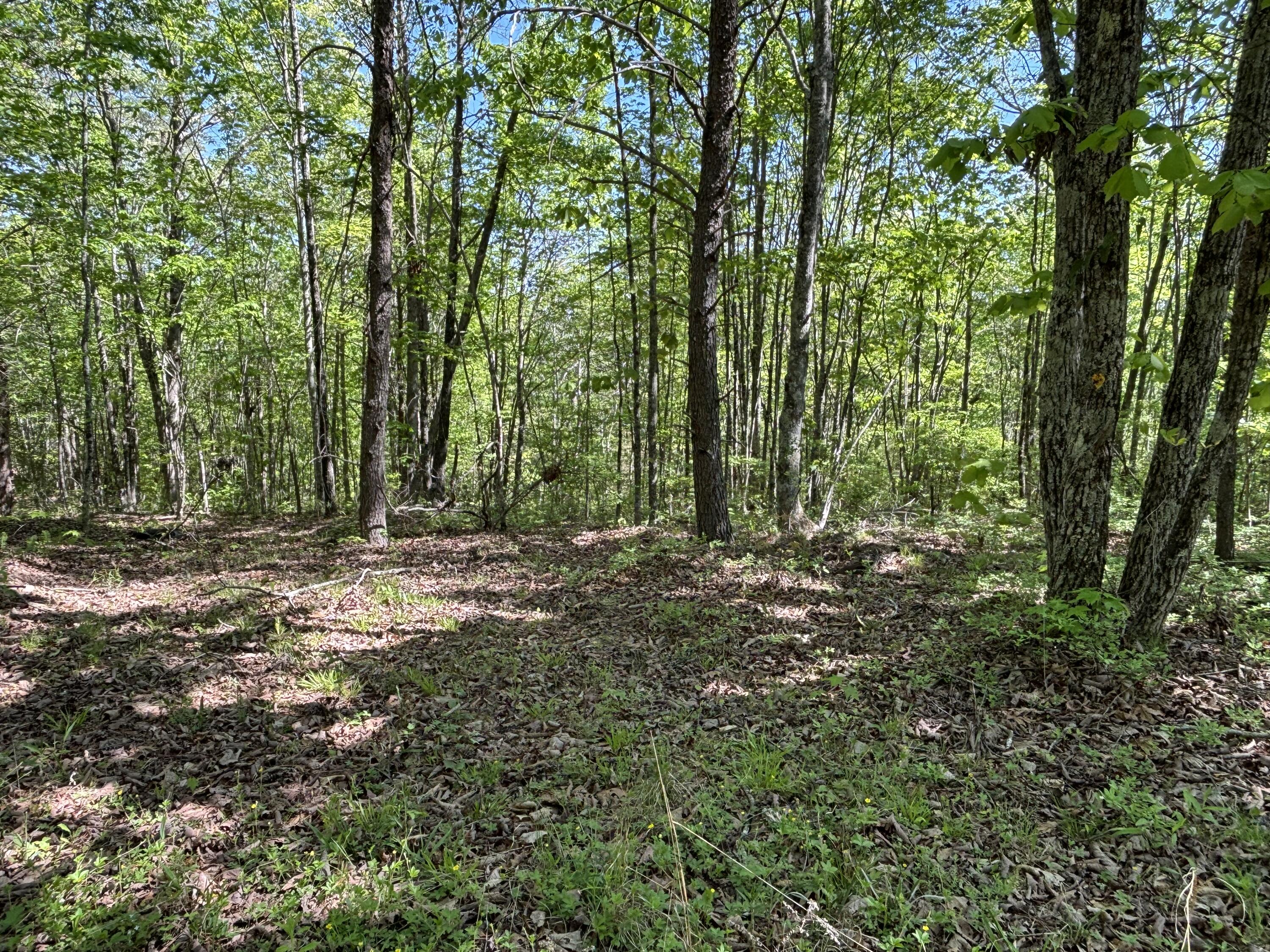 866 Bowater Road Pikeville, TN 37367 - Photo 38 of 70 Photo Apr 23 2026, 11 14 06 AM