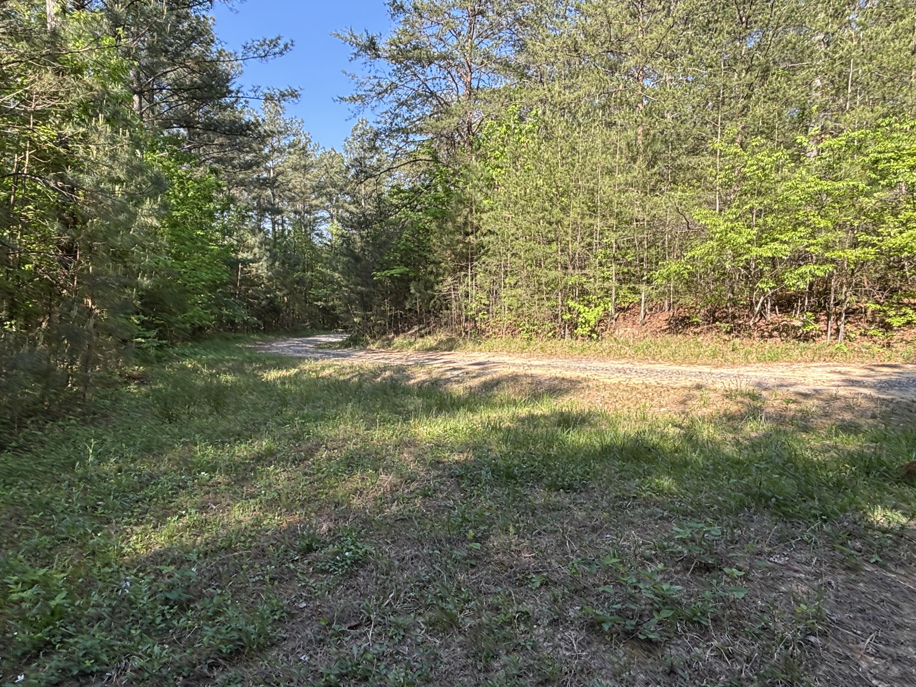 866 Bowater Road Pikeville, TN 37367 - Photo 10 of 70 Photo Apr 23 2026, 10 18 26 AM