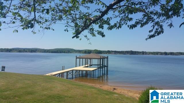 204 Viewpoint Circle Pell City, AL 35128 - Photo 8 of 49