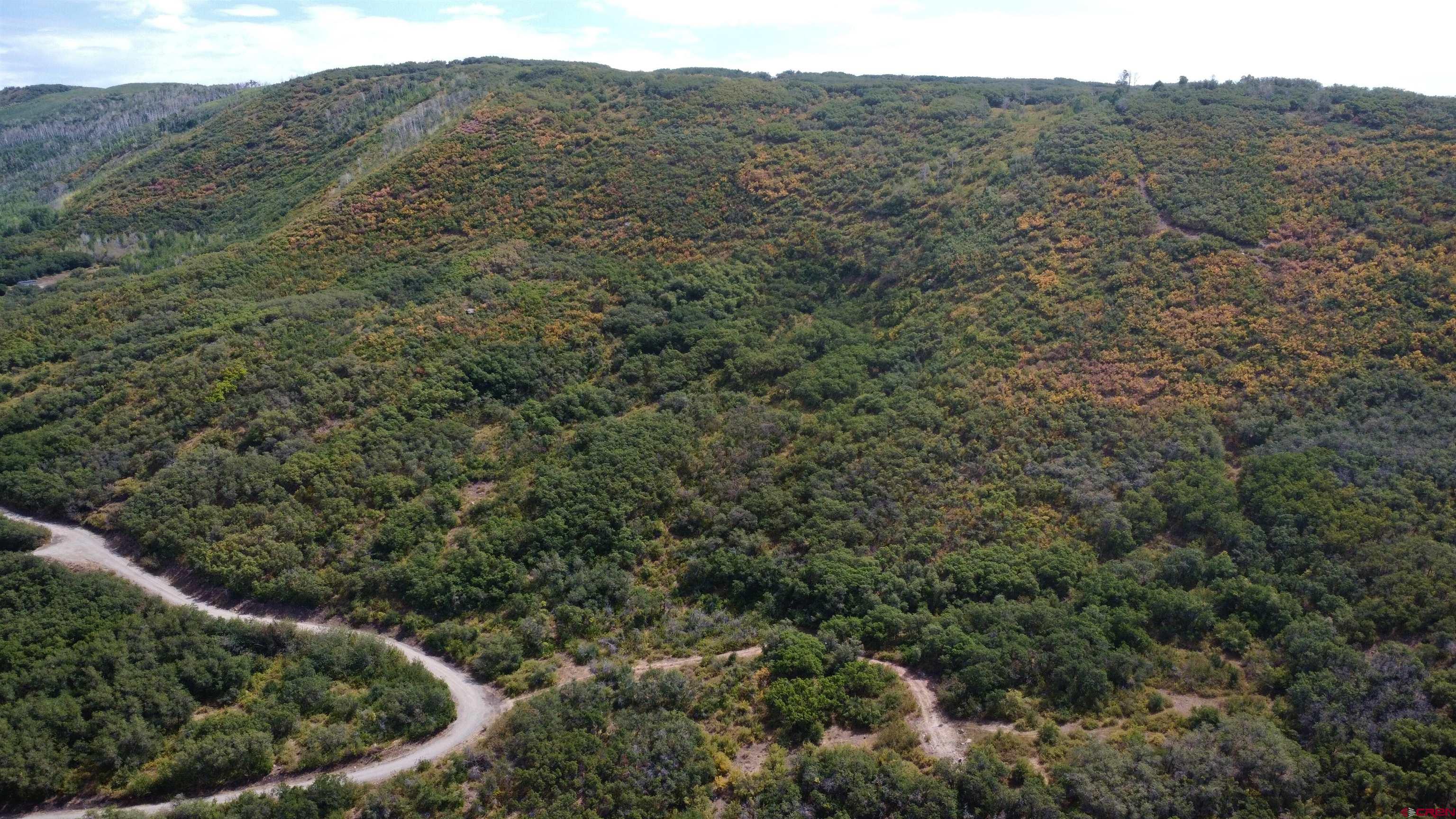 a view of a house with a mountain and trees