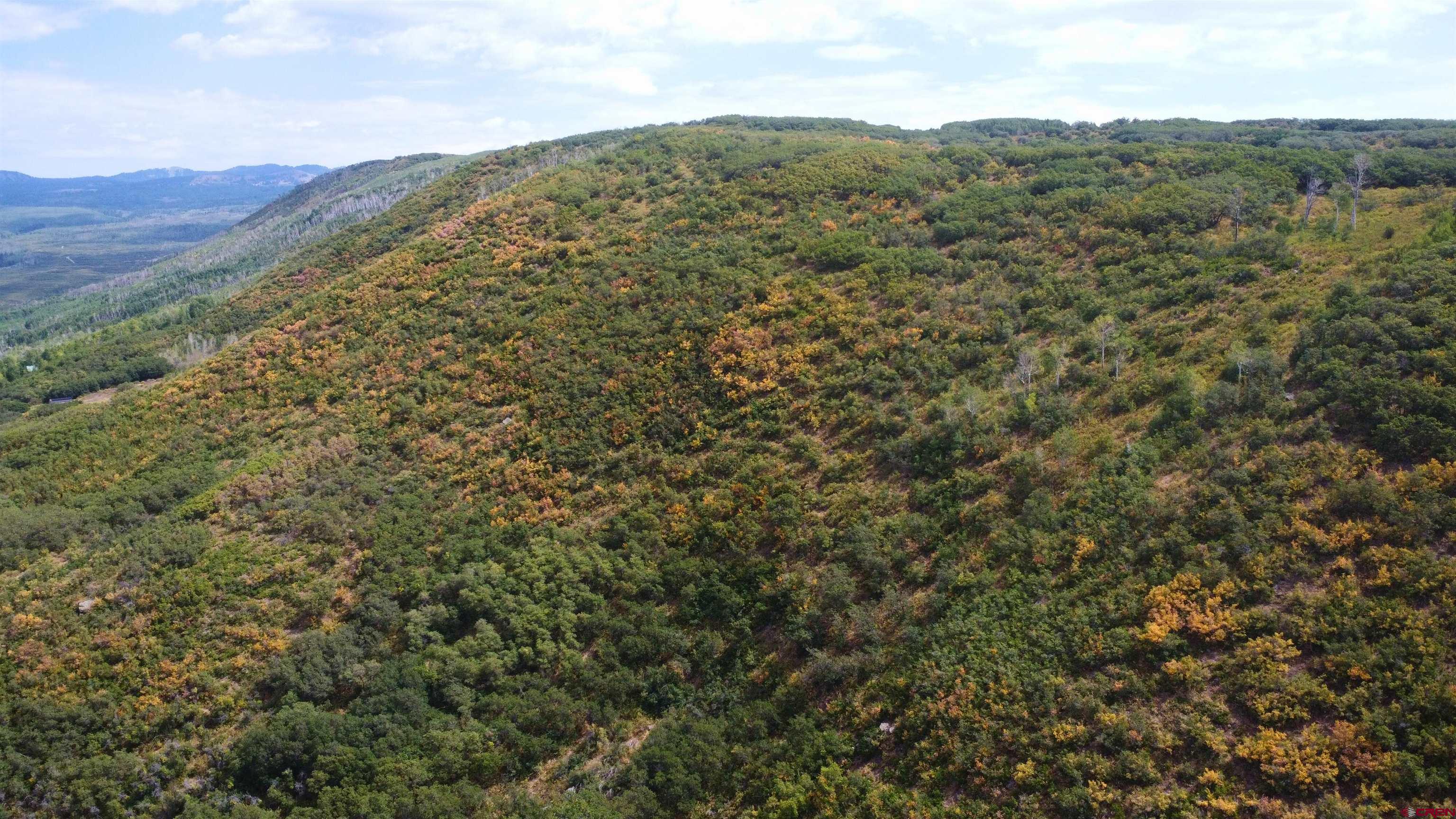 Lot 37 Stoney Creek Ranch Road Hotchkiss, CO 81419 - Photo 12 of 17 a view of a mountain range with lush green forest