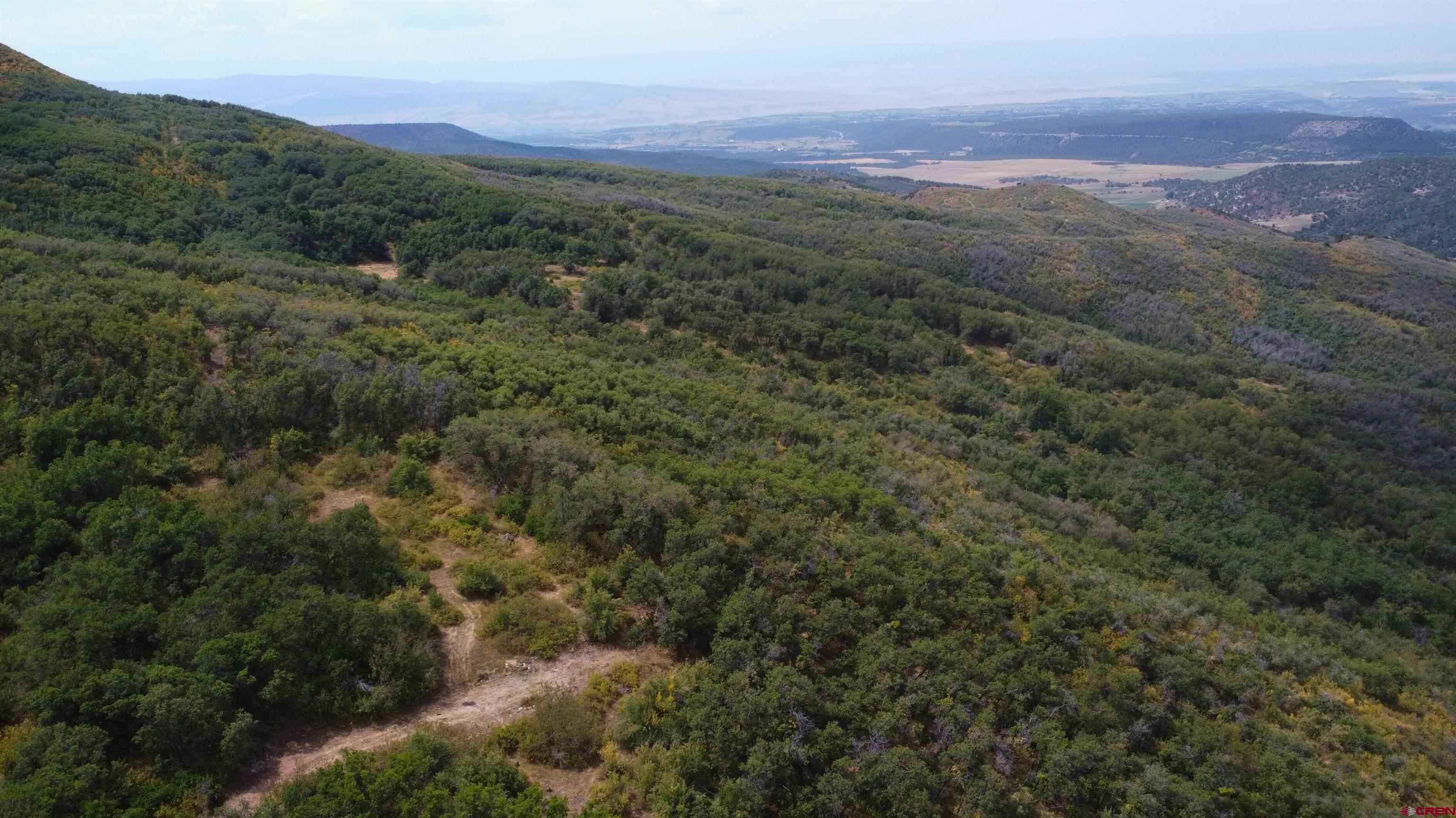 Lot 37 Stoney Creek Ranch Road Hotchkiss, CO 81419 - Photo 13 of 17 a view of a city with lush green forest