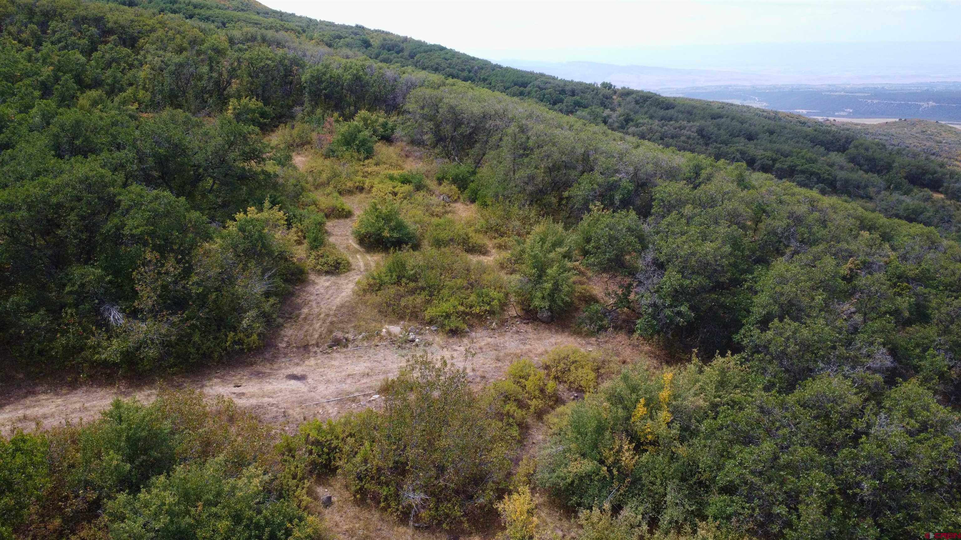 Lot 37 Stoney Creek Ranch Road Hotchkiss, CO 81419 - Photo 14 of 17 a view of a forest with a street