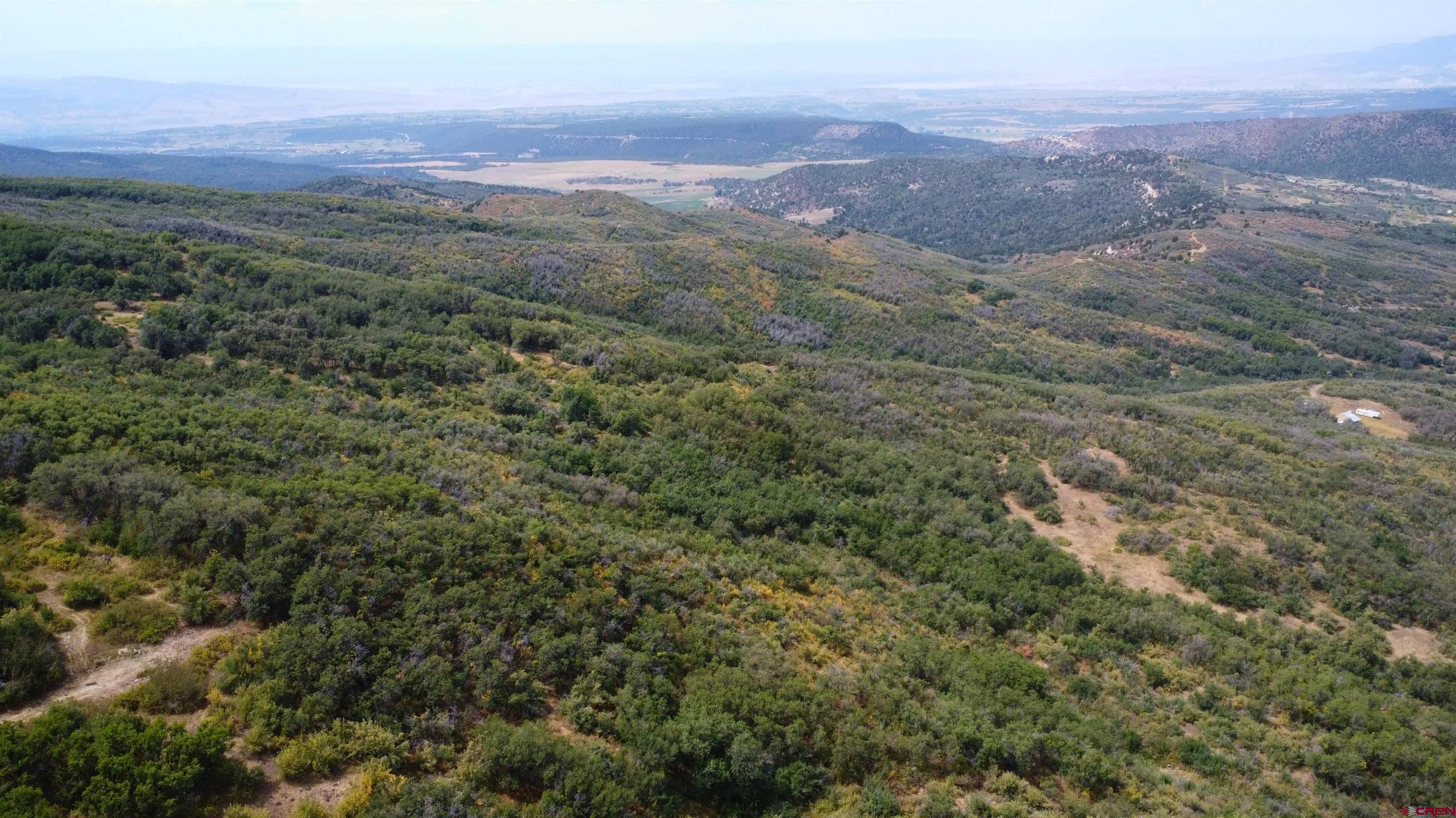 Lot 37 Stoney Creek Ranch Road Hotchkiss, CO 81419 - Photo 3 of 17 an aerial view of residential house and green space