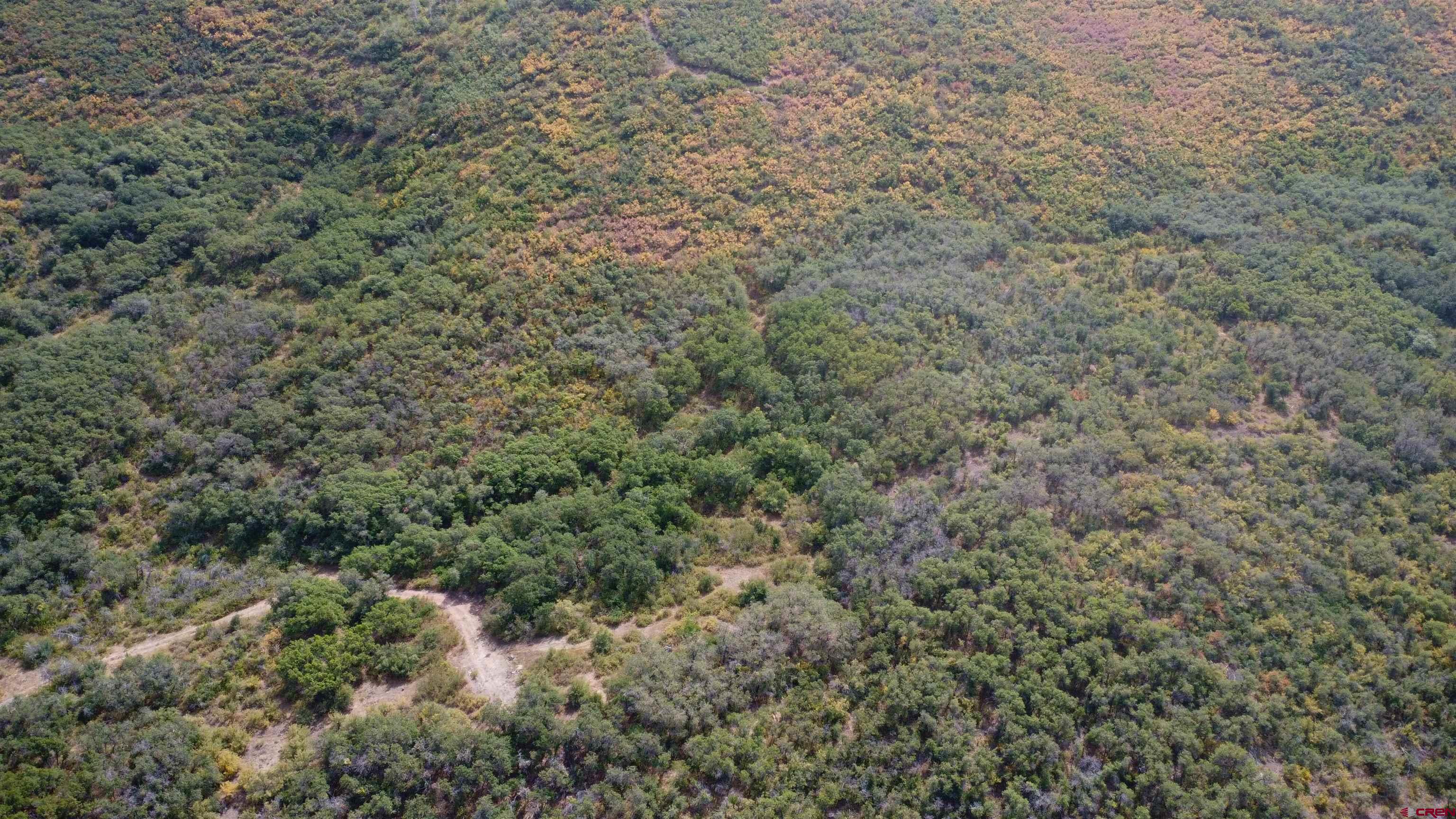Lot 37 Stoney Creek Ranch Road Hotchkiss, CO 81419 - Photo 4 of 17 a view of a forest with a street