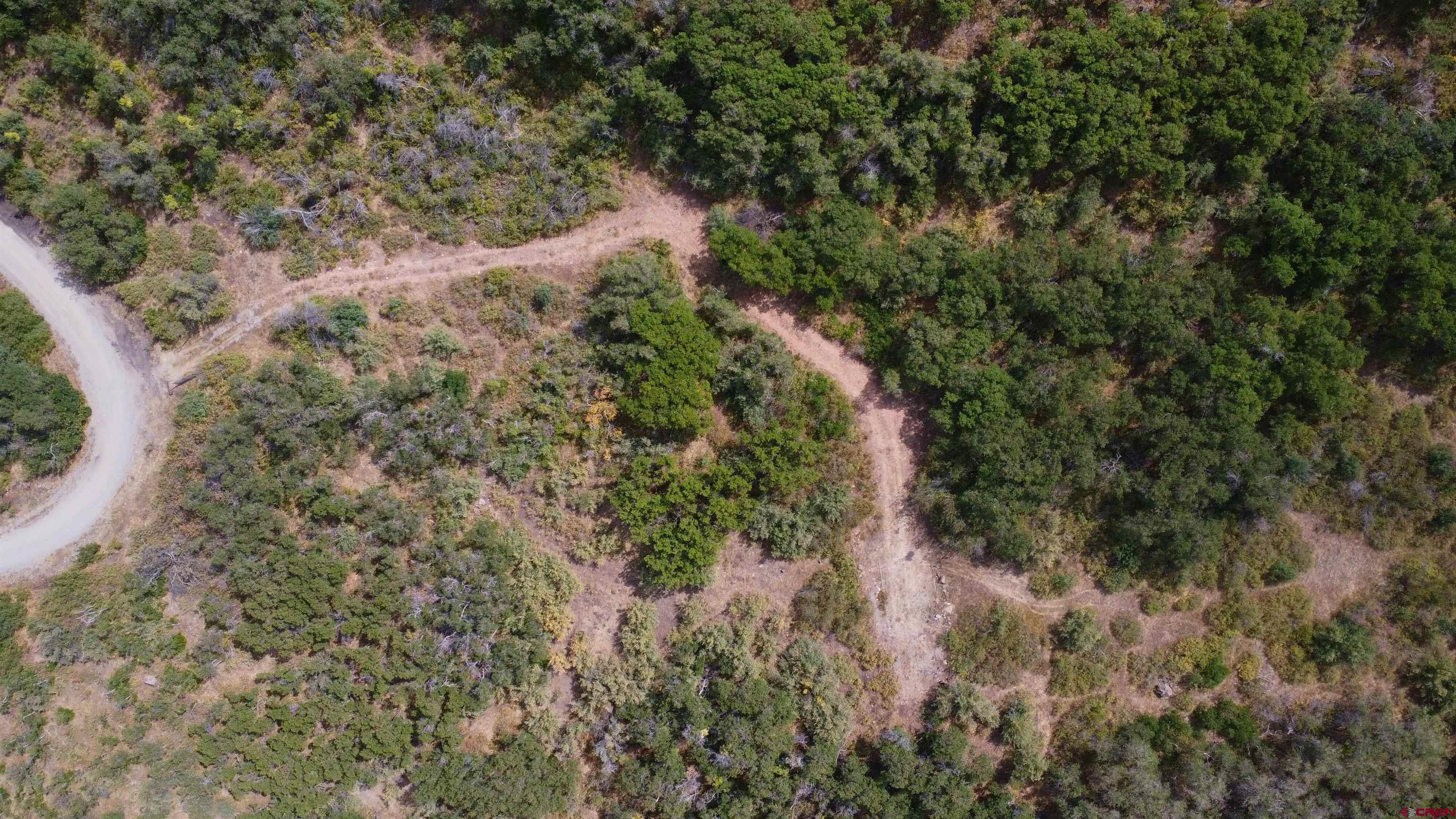 Lot 37 Stoney Creek Ranch Road Hotchkiss, CO 81419 - Photo 5 of 17 a view of a forest with a tree