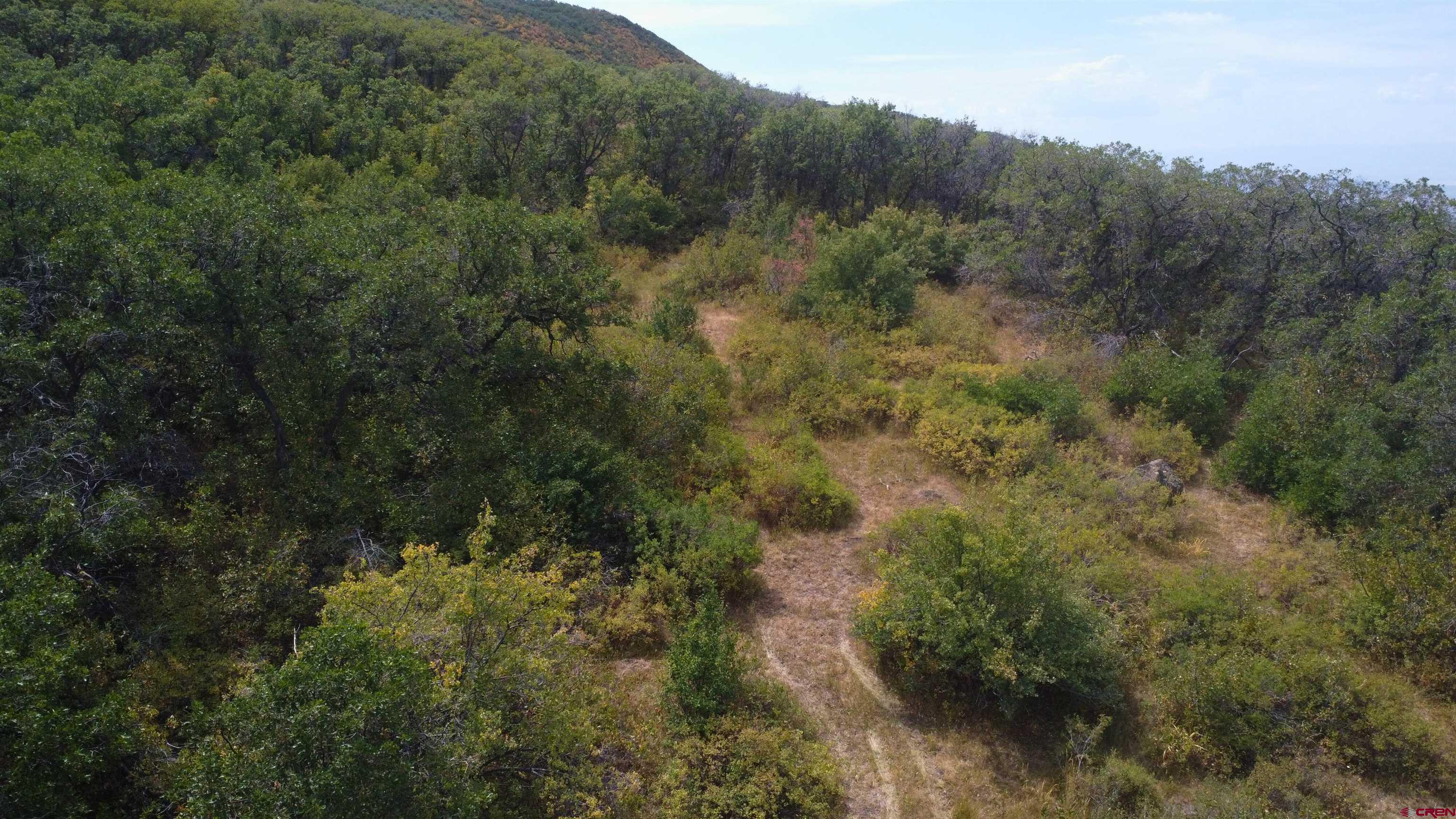 Lot 37 Stoney Creek Ranch Road Hotchkiss, CO 81419 - Photo 8 of 17 a view of a forest with a street