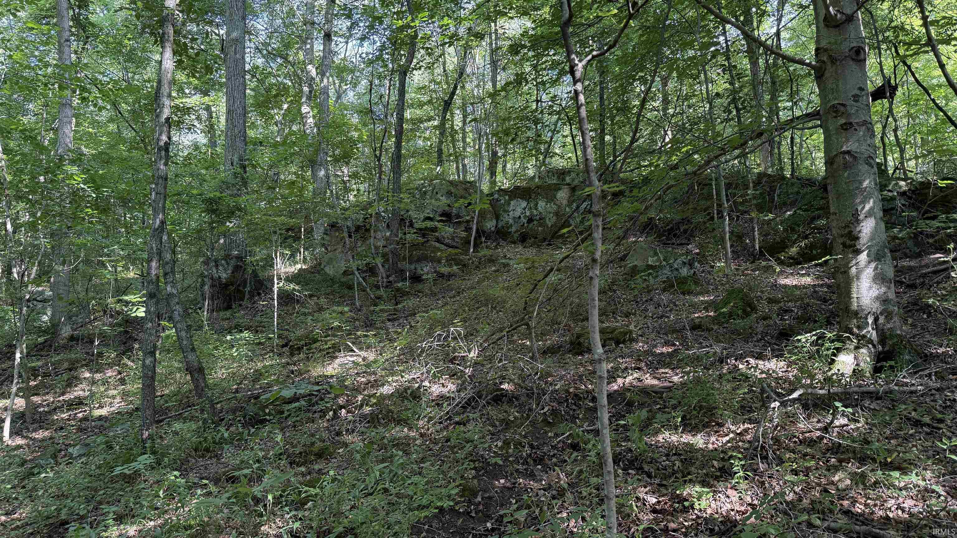 0 Black Ankle Road Bloomfield, IN 47424 - Photo 17 of 33 Gallery Image 17