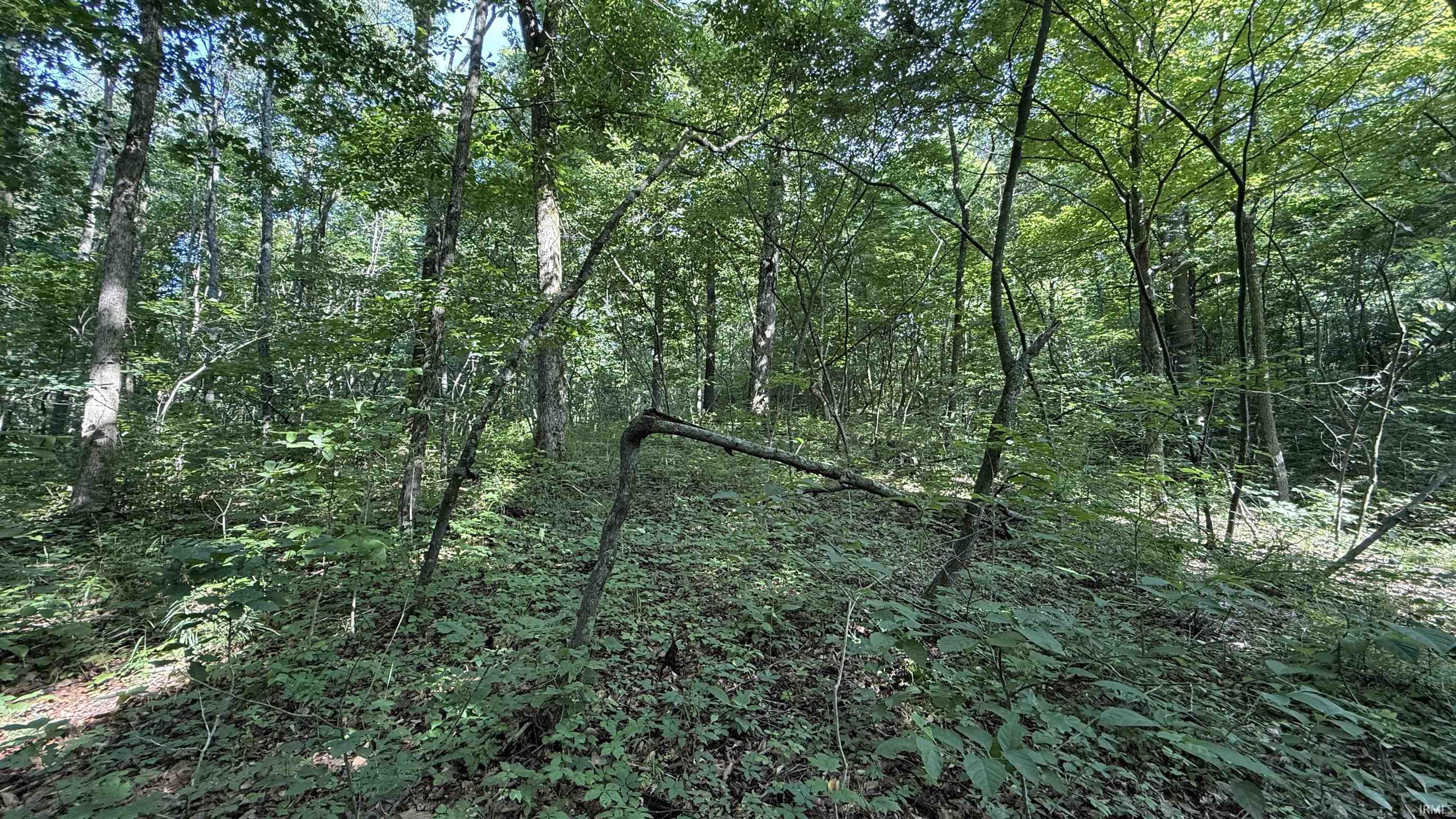 0 Black Ankle Road Bloomfield, IN 47424 - Photo 20 of 33 Gallery Image 20