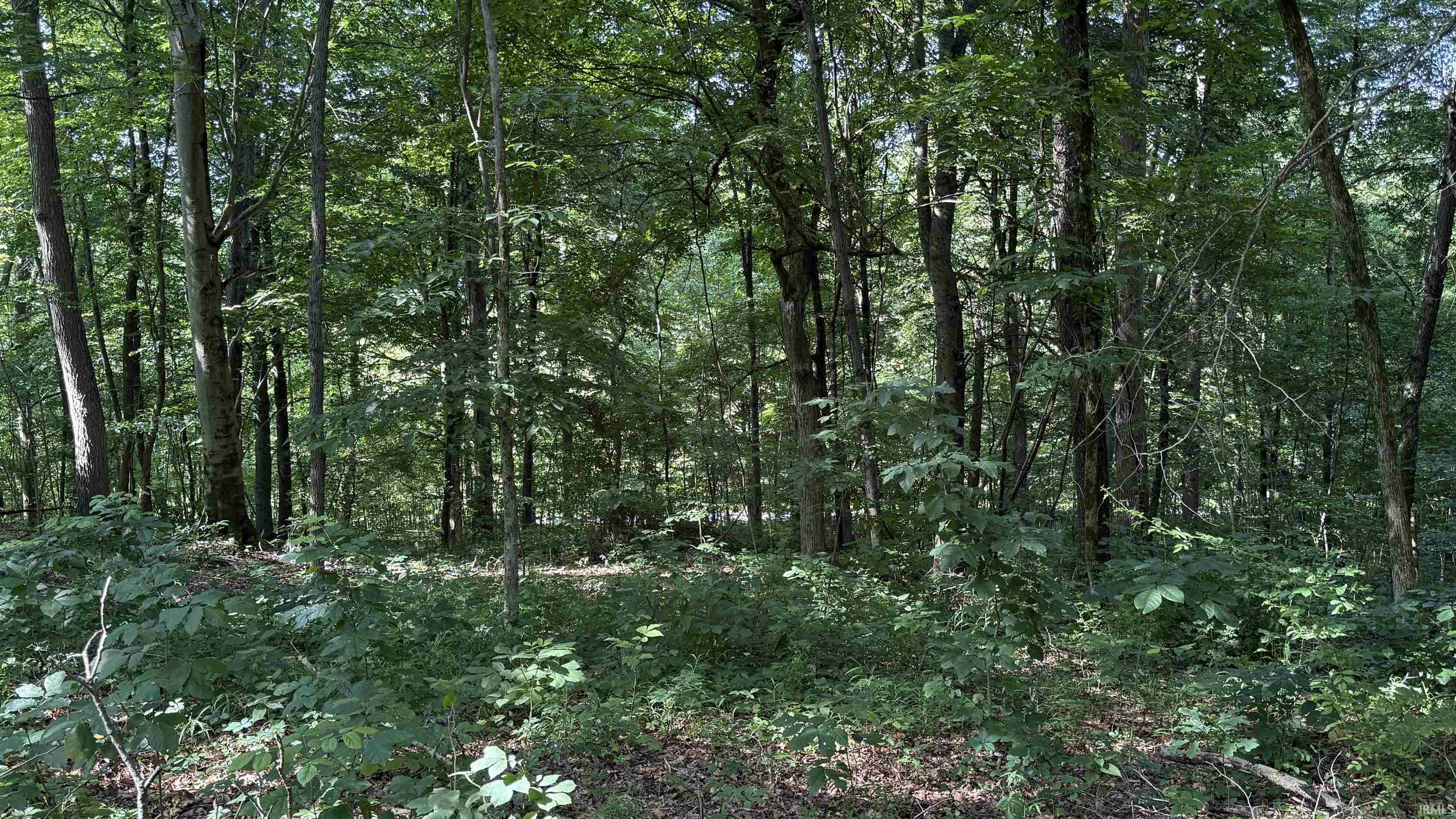 0 Black Ankle Road Bloomfield, IN 47424 - Photo 25 of 33 Gallery Image 25