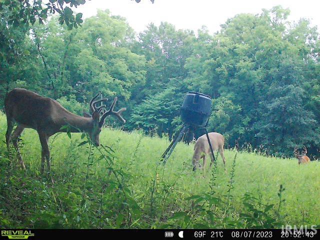 0 Black Ankle Road Bloomfield, IN 47424 - Photo 27 of 33 Gallery Image 27