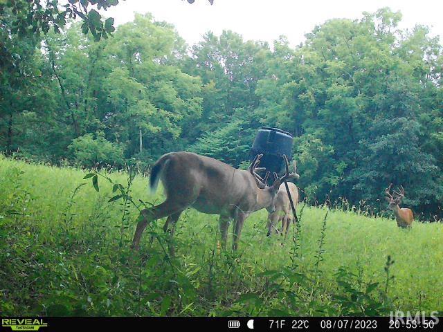 0 Black Ankle Road Bloomfield, IN 47424 - Photo 28 of 33 Gallery Image 28