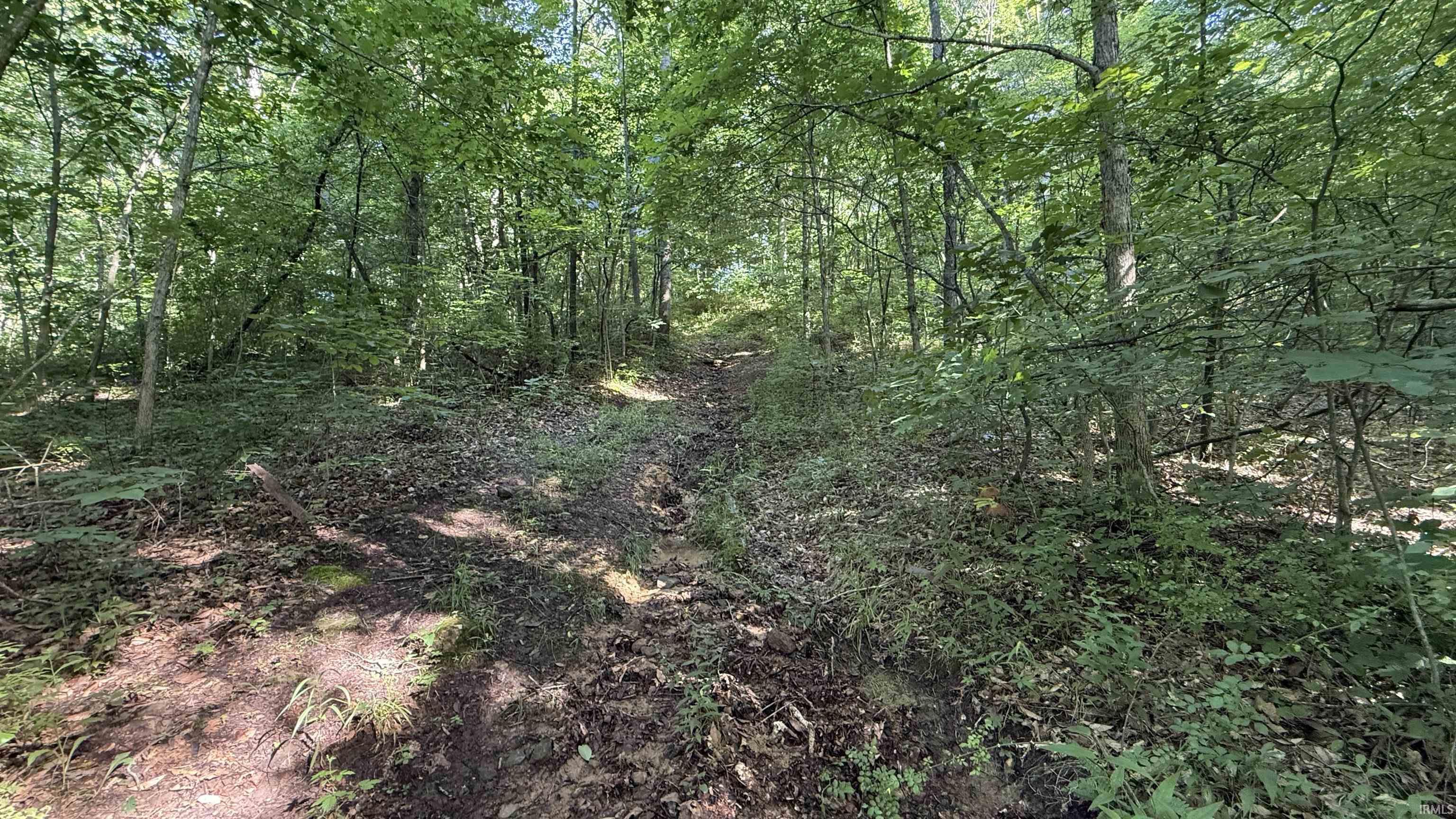 0 Black Ankle Road Bloomfield, IN 47424 - Photo 10 of 33 Gallery Image 10