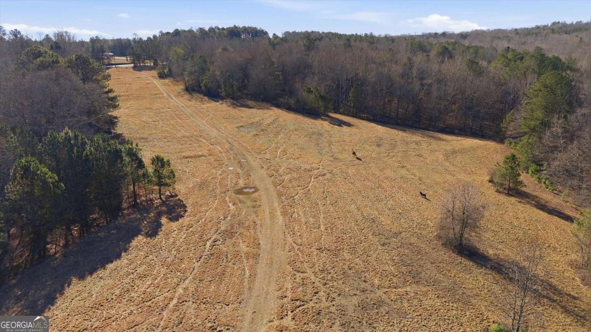 0 Thomas Street Roopville, GA 30170 - Photo 11 of 34