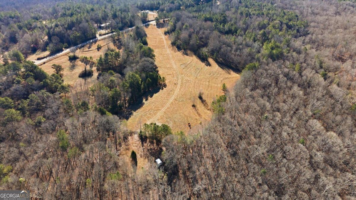 0 Thomas Street Roopville, GA 30170 - Photo 12 of 34