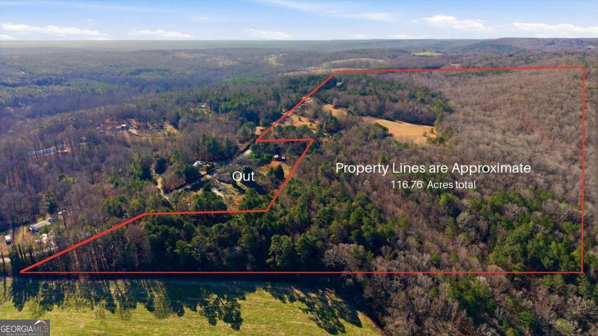 0 Thomas Street Roopville, GA 30170 - Photo 13 of 34