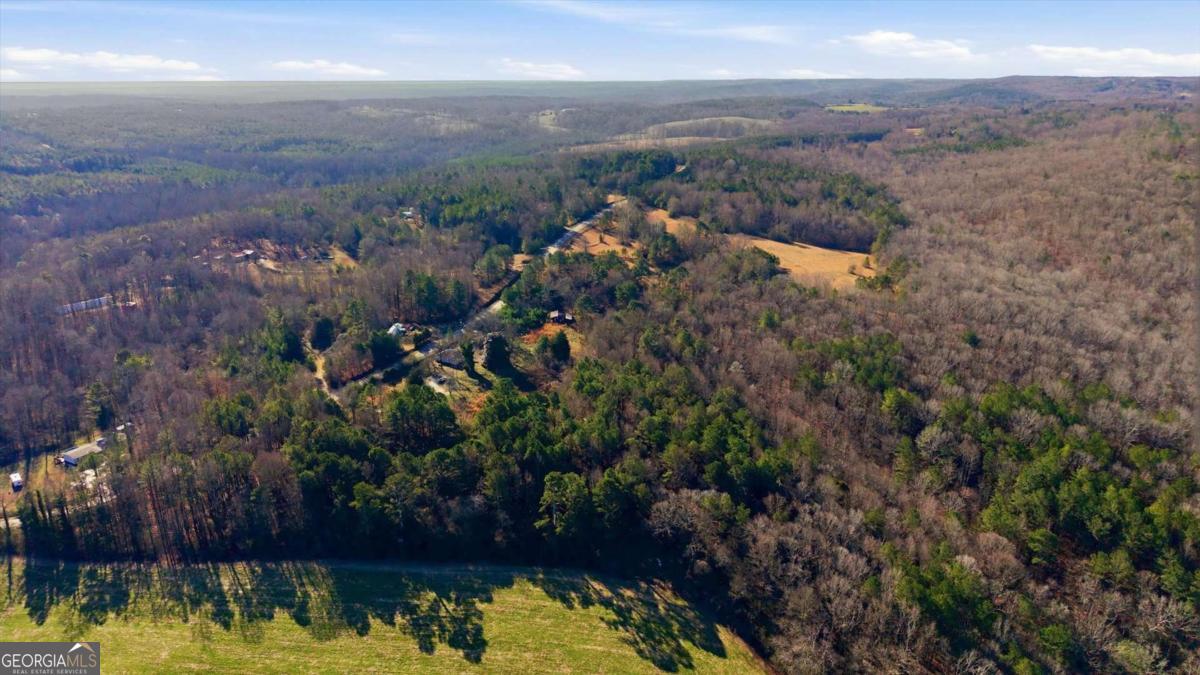 0 Thomas Street Roopville, GA 30170 - Photo 14 of 34