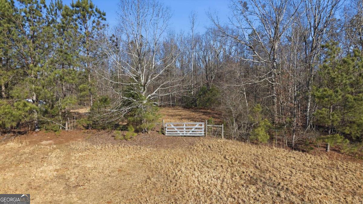 0 Thomas Street Roopville, GA 30170 - Photo 16 of 34