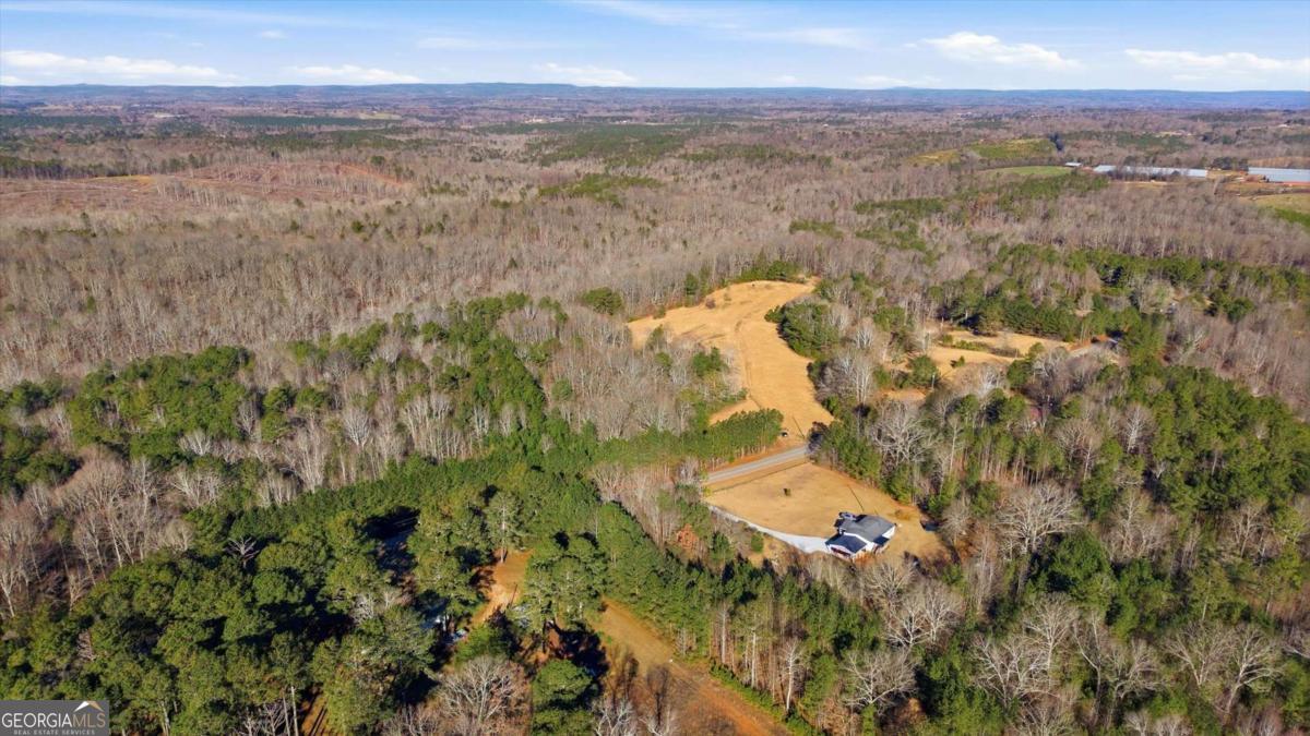 0 Thomas Street Roopville, GA 30170 - Photo 20 of 34